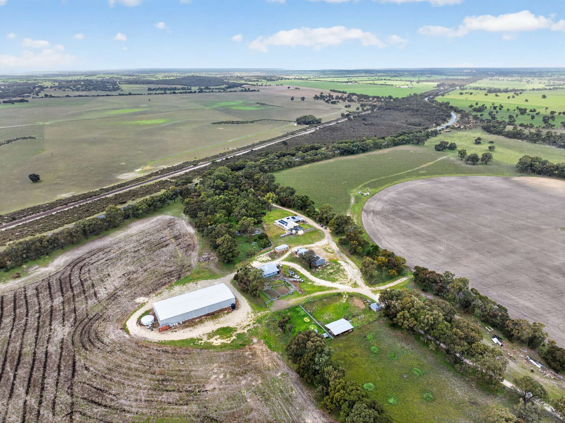 'Cairndale' Dukes Highway, Keith Auction by Farmbuy.com - image 7