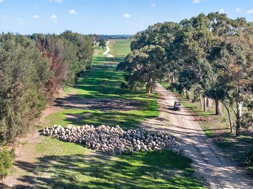 Farm Auction - SA - Keith - 5267 - Developed Mixed Farming Property with Irrigation 