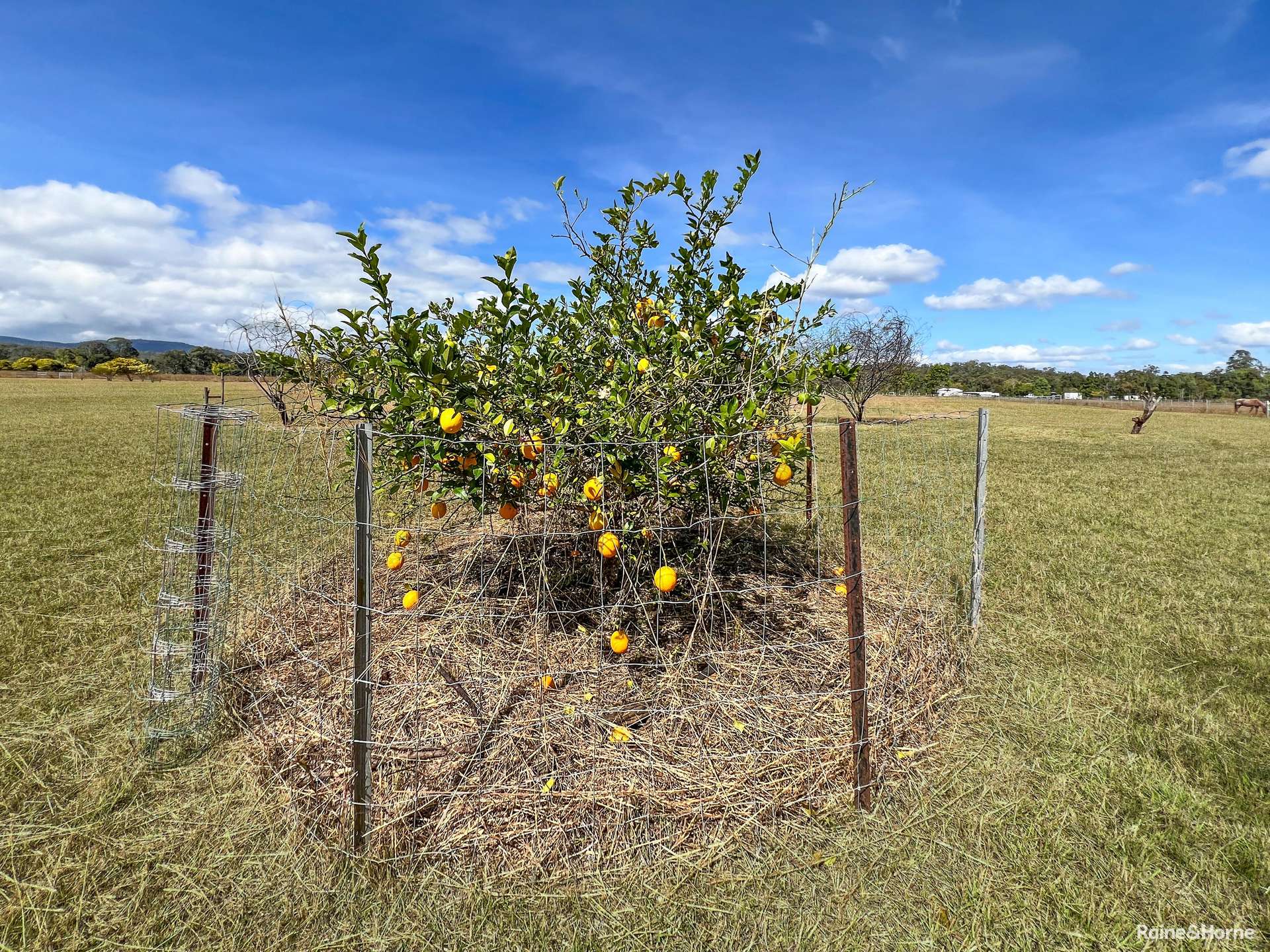 132 Gordon Earl Drive, Millstream For Sale by Farmbuy.com - image 13