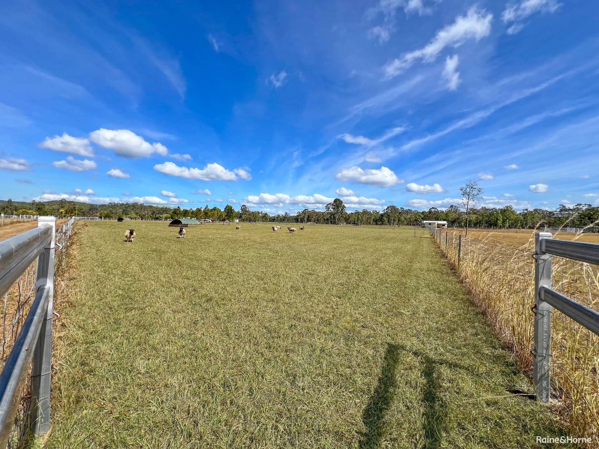 132 Gordon Earl Drive, Millstream For Sale by Farmbuy.com - image 2