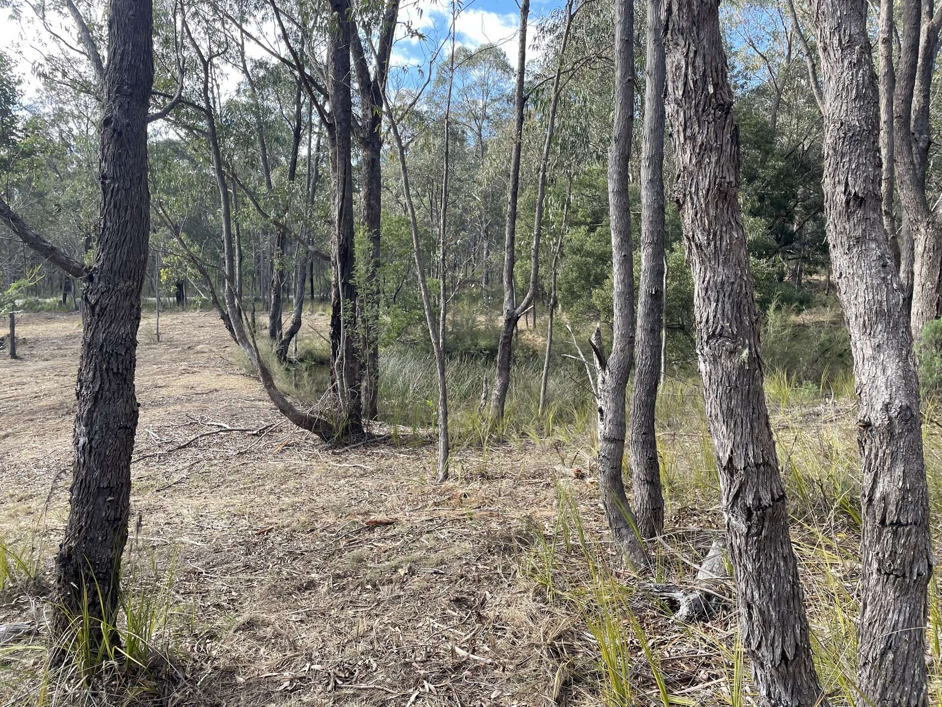 195 Waterholes Road, Granite Rock For Sale by Farmbuy.com - image 26