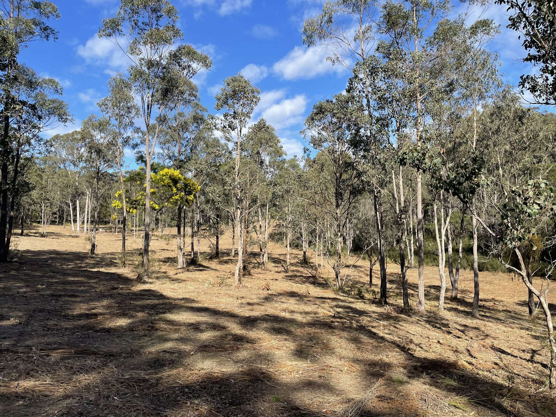 195 Waterholes Road, Granite Rock For Sale by Farmbuy.com - image 30
