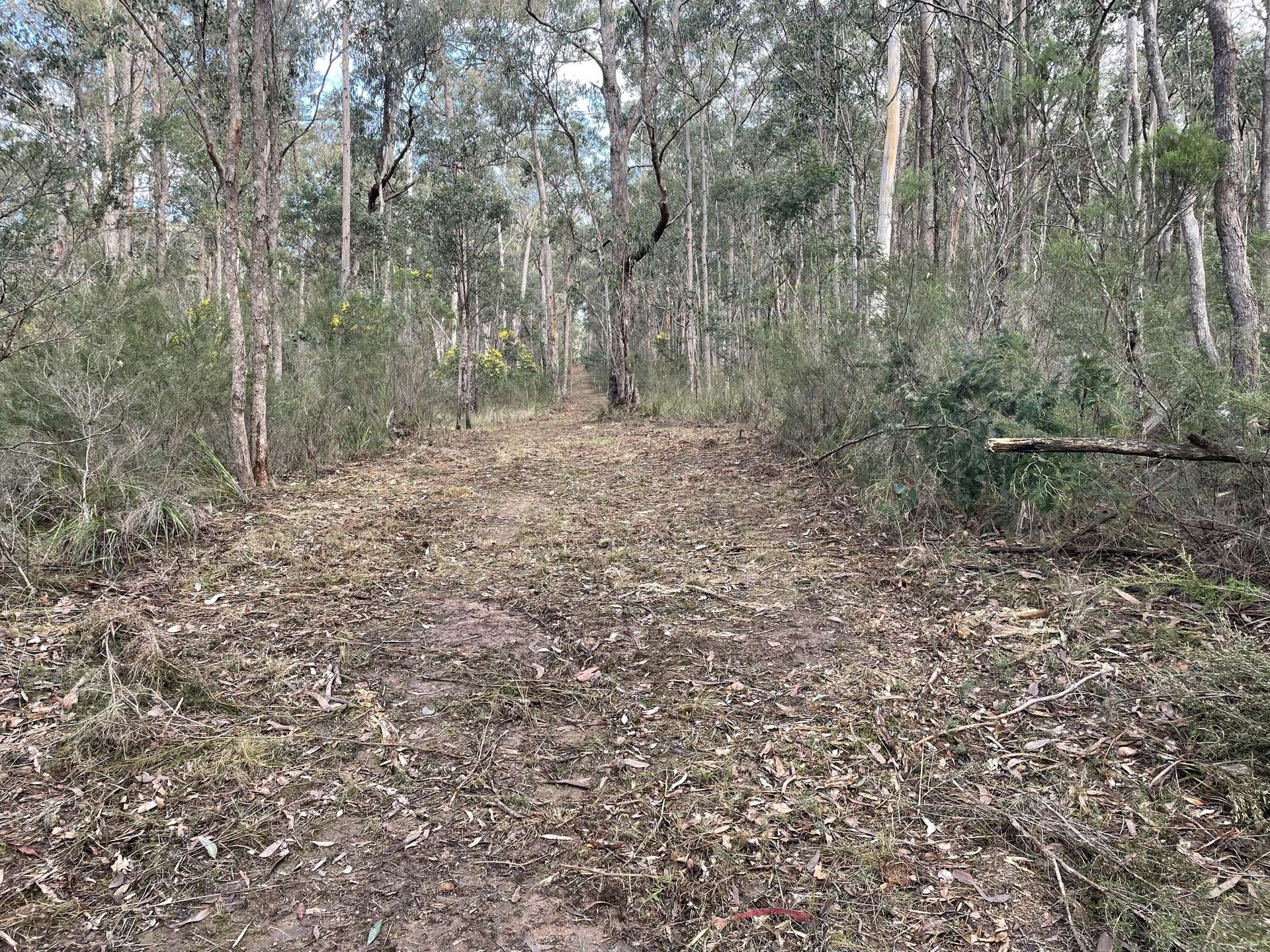 195 Waterholes Road, Granite Rock For Sale by Farmbuy.com - image 24