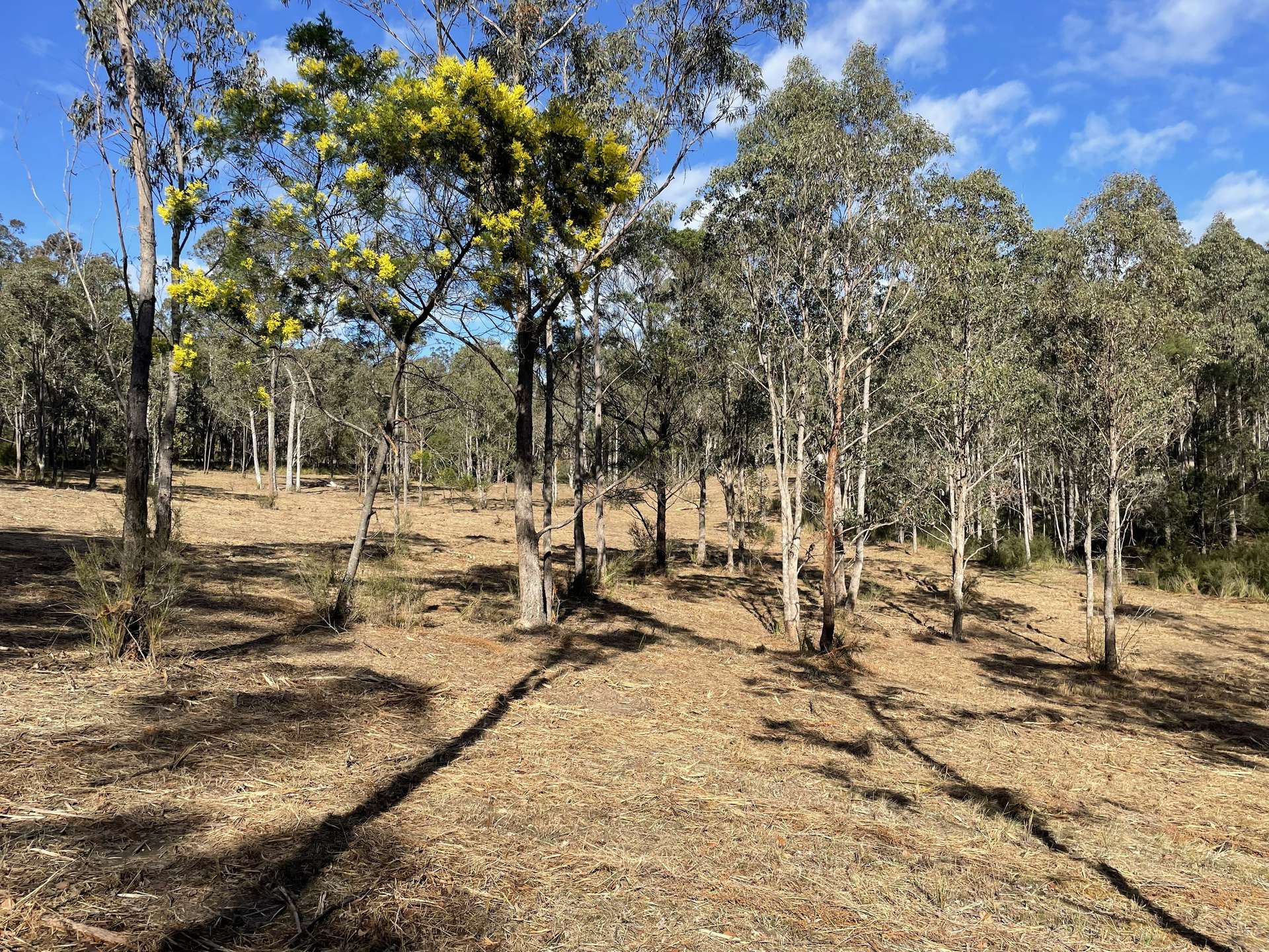 195 Waterholes Road, Granite Rock For Sale by Farmbuy.com - image 29