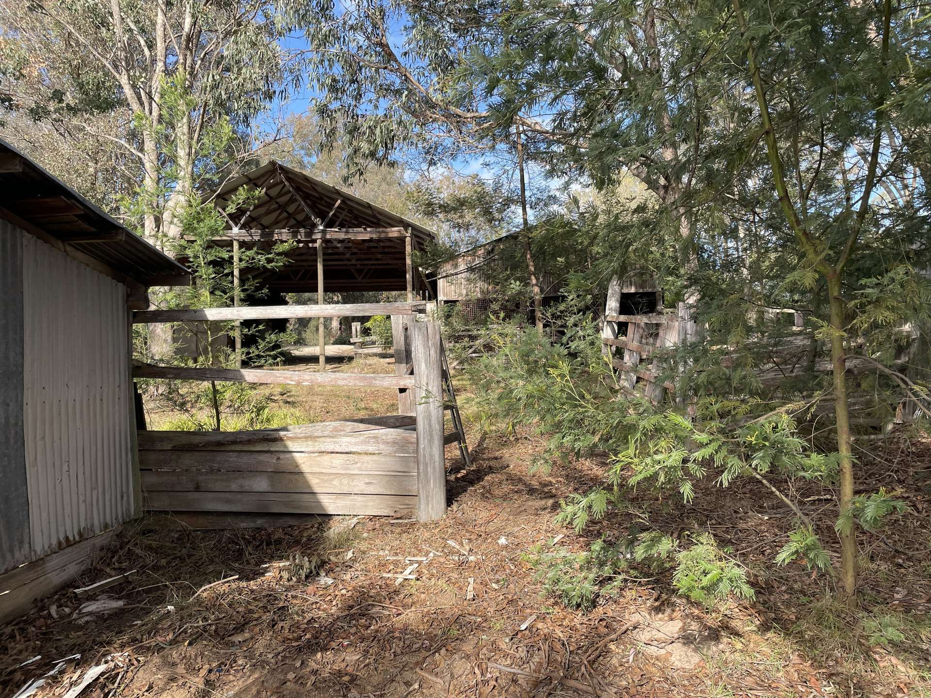 195 Waterholes Road, Granite Rock For Sale by Farmbuy.com - image 22