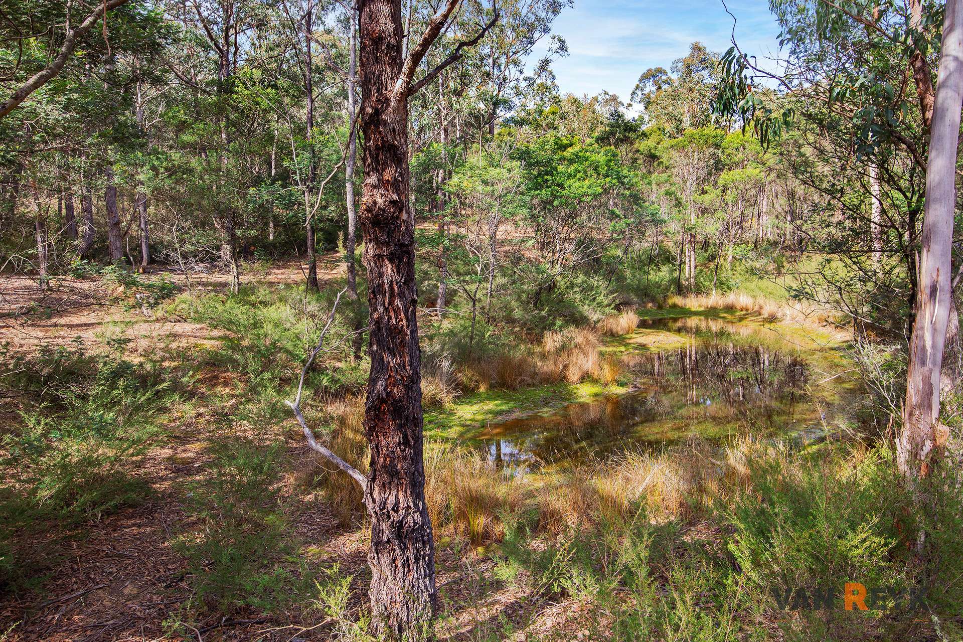 195 Waterholes Road, Granite Rock For Sale by Farmbuy.com - image 26