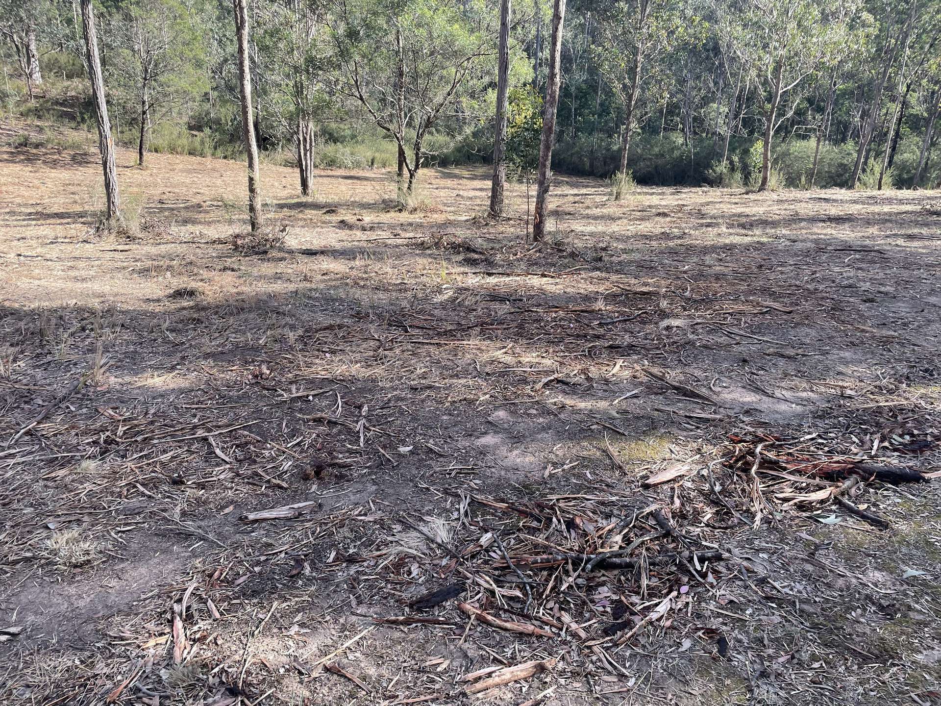 195 Waterholes Road, Granite Rock For Sale by Farmbuy.com - image 28