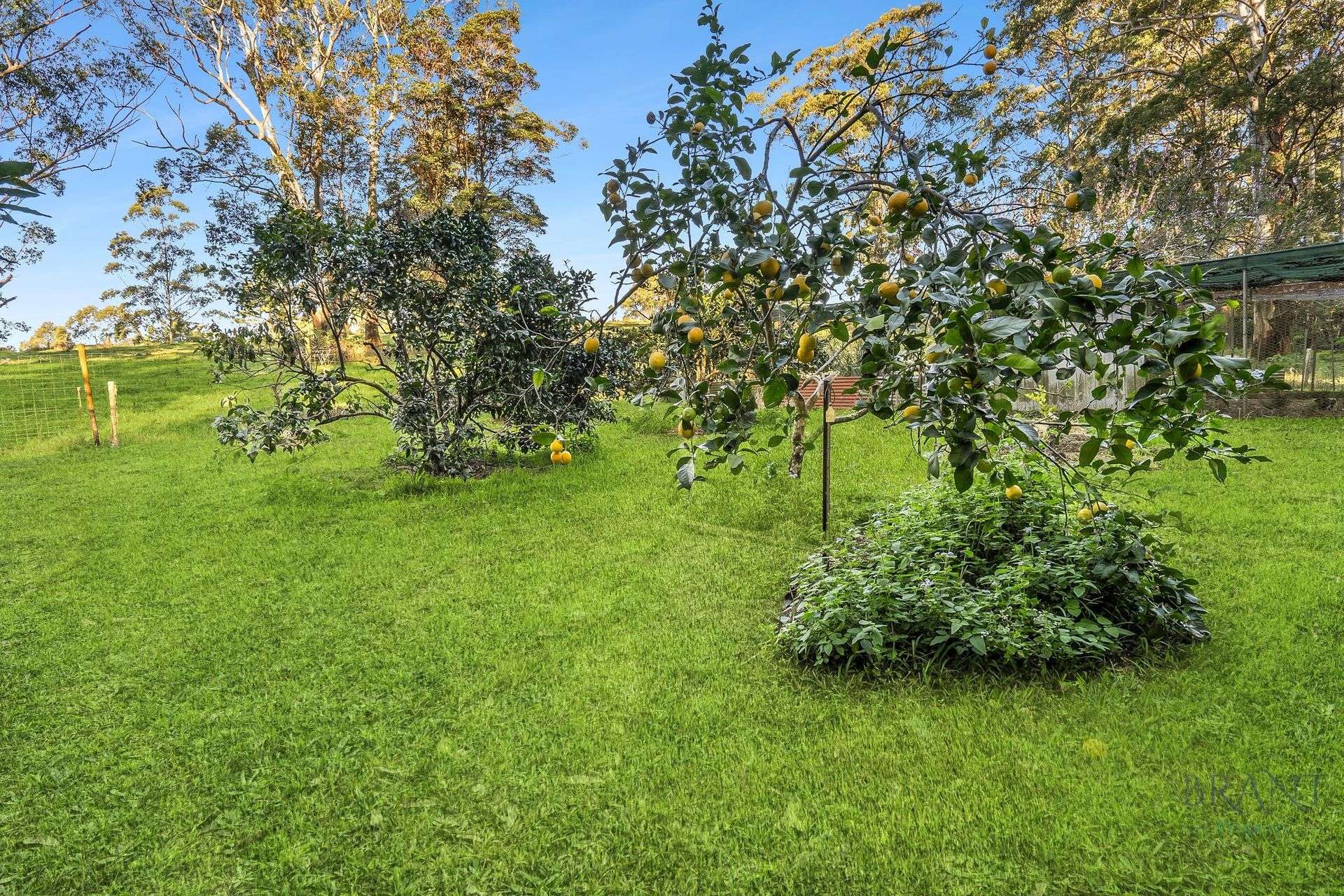 154 Engle Road, Reesville For Sale by Farmbuy.com - image 30