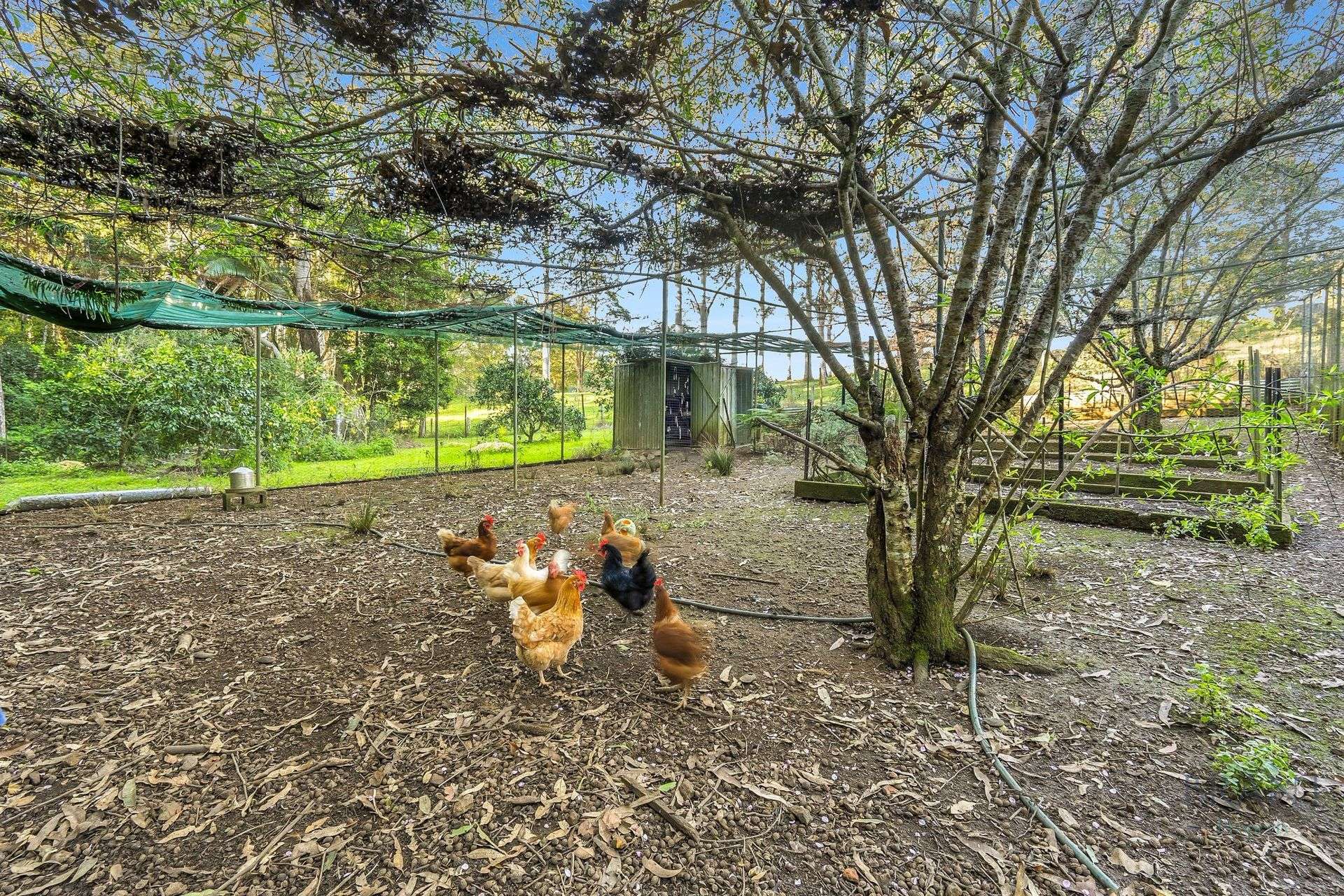 154 Engle Road, Reesville For Sale by Farmbuy.com - image 28