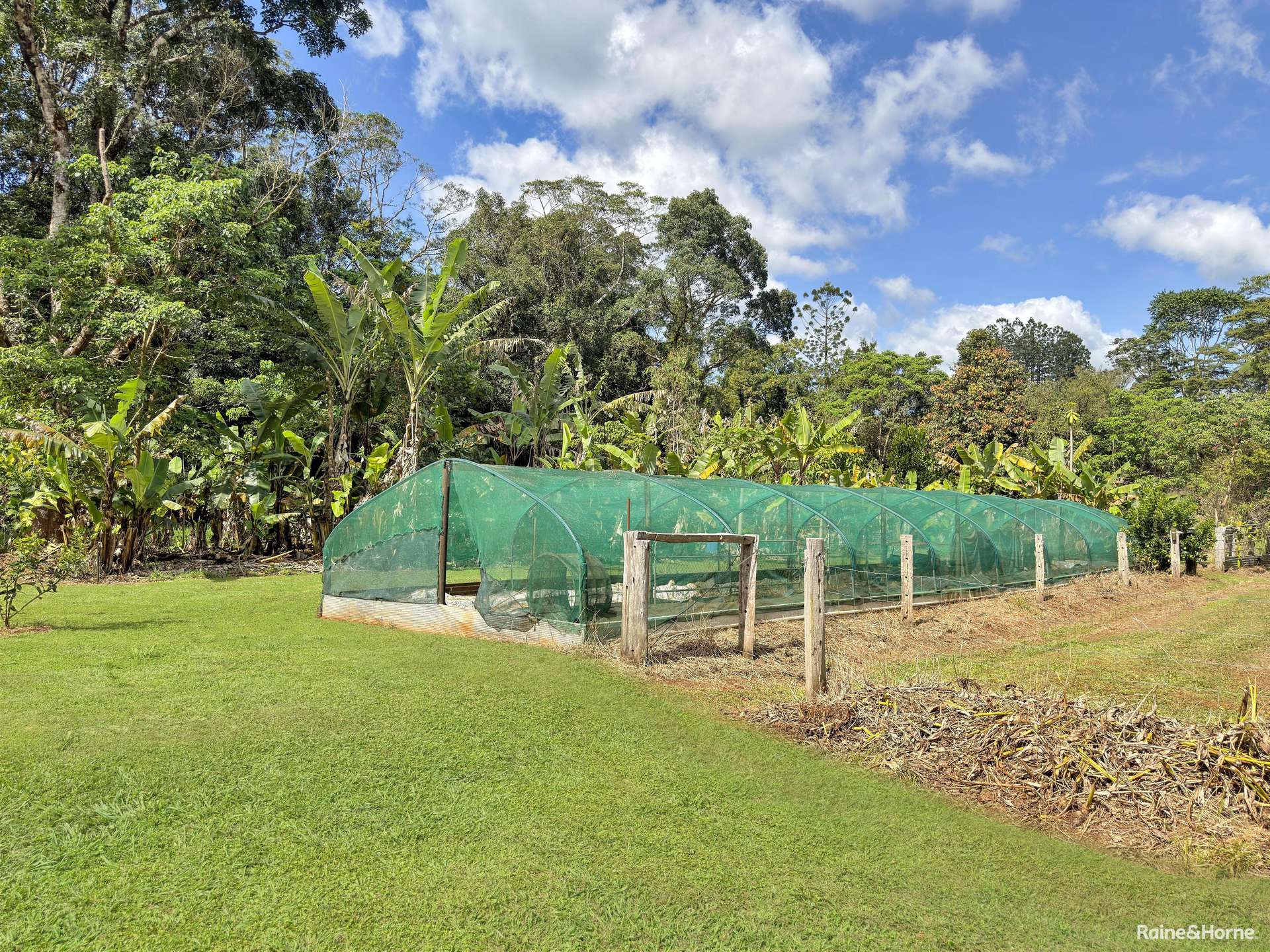 524 Theresa Creek Road, Millaa Millaa For Sale by Farmbuy.com - image 3