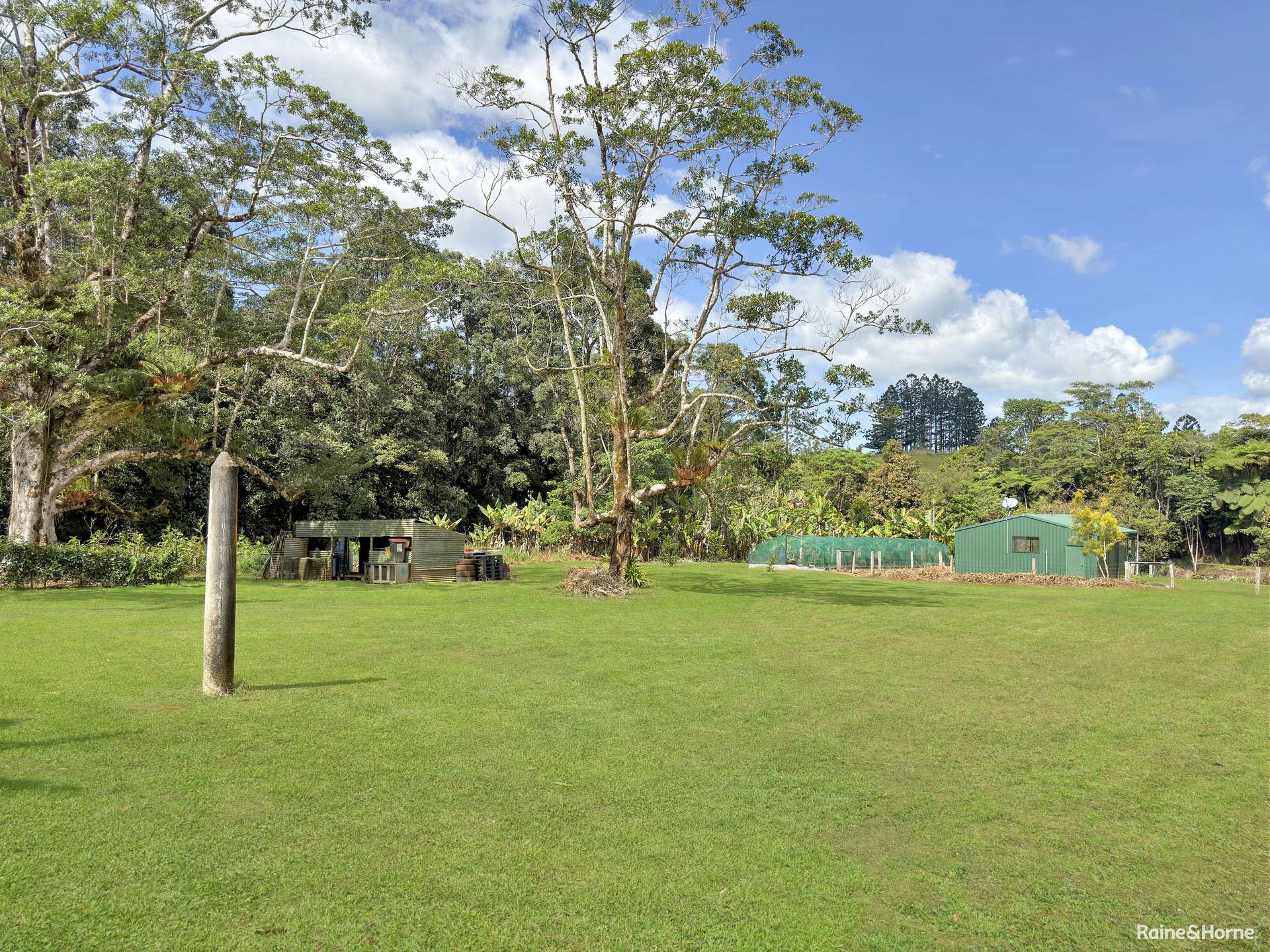 524 Theresa Creek Road, Millaa Millaa For Sale by Farmbuy.com - image 16