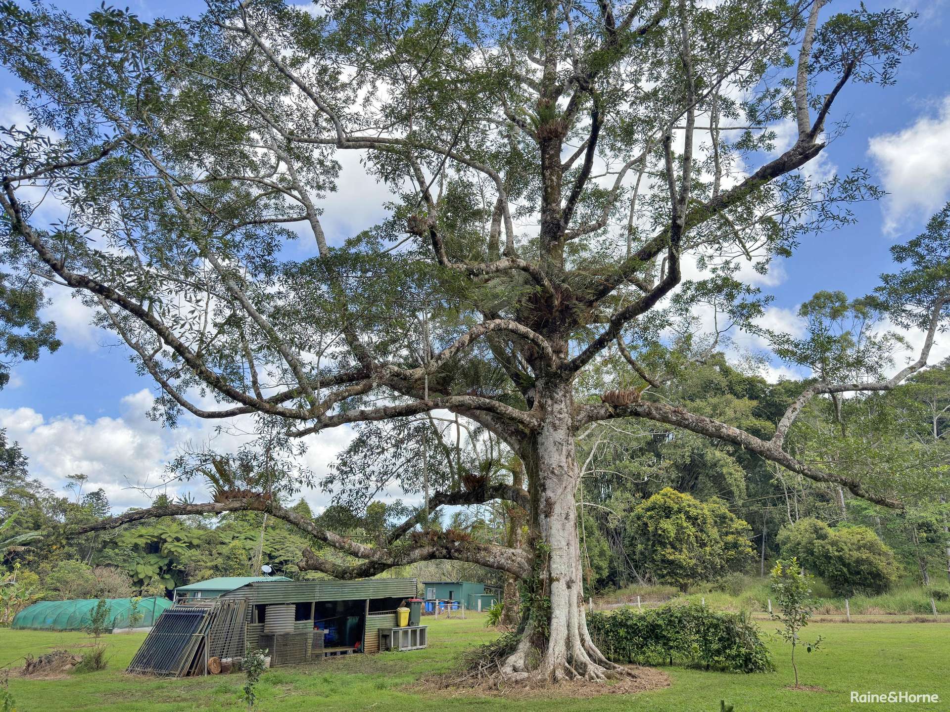 524 Theresa Creek Road, Millaa Millaa For Sale by Farmbuy.com - image 15
