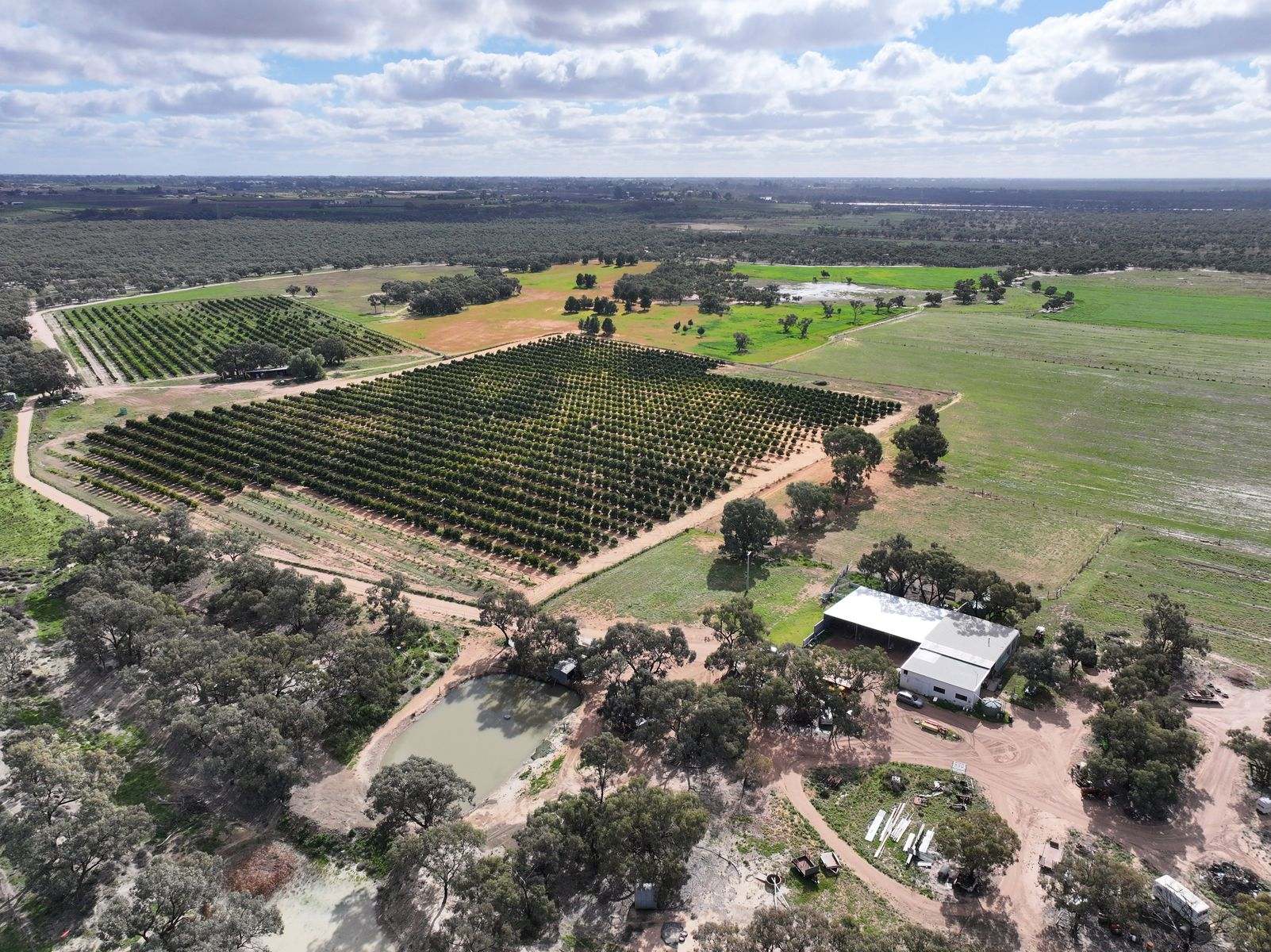 540 Stewart Road, Red Cliffs For Sale by Farmbuy.com - image 24
