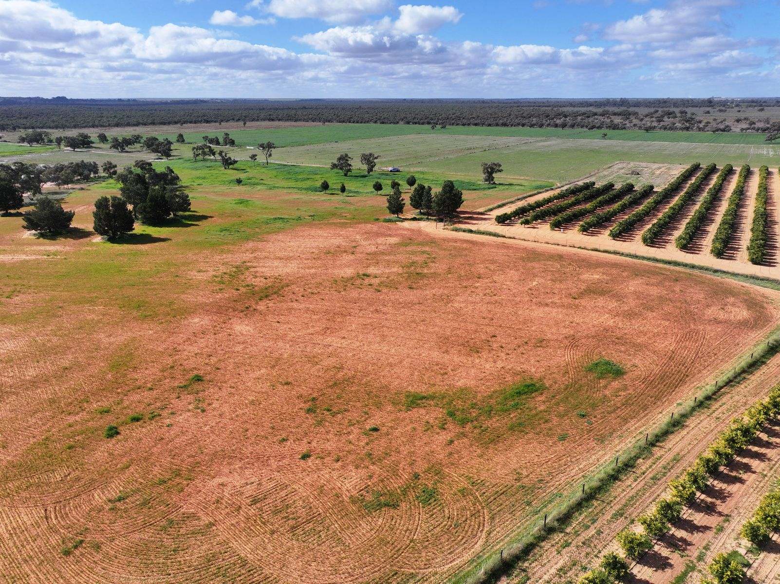 540 Stewart Road, Red Cliffs For Sale by Farmbuy.com - image 18