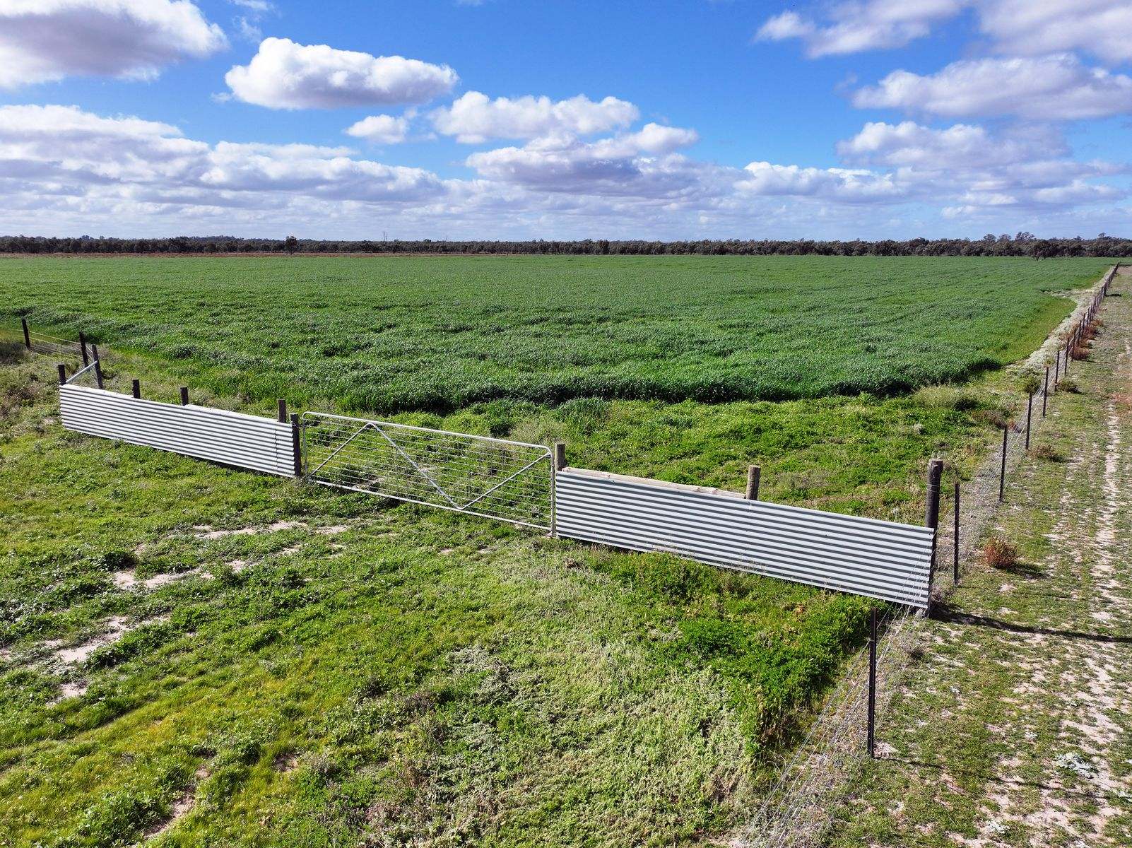 540 Stewart Road, Red Cliffs For Sale by Farmbuy.com - image 2