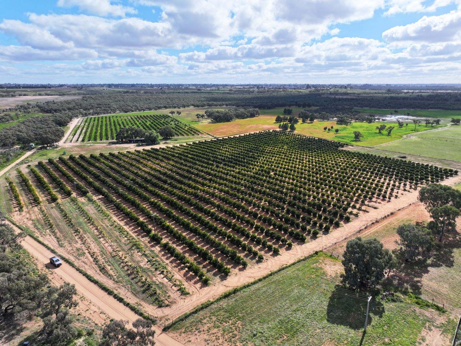 540 Stewart Road, Red Cliffs For Sale by Farmbuy.com - image 22