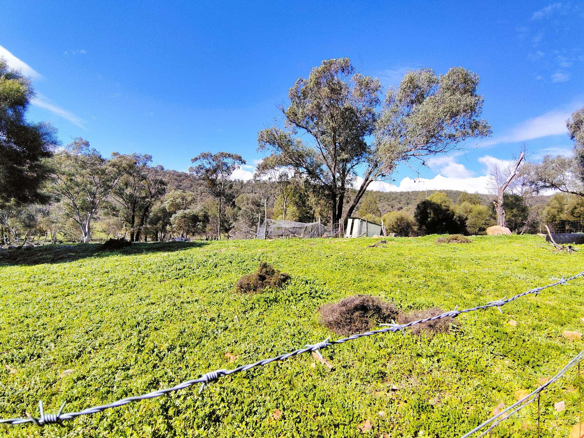 3486 Warraderry Way, Gooloogong For Sale by Farmbuy.com - image 29