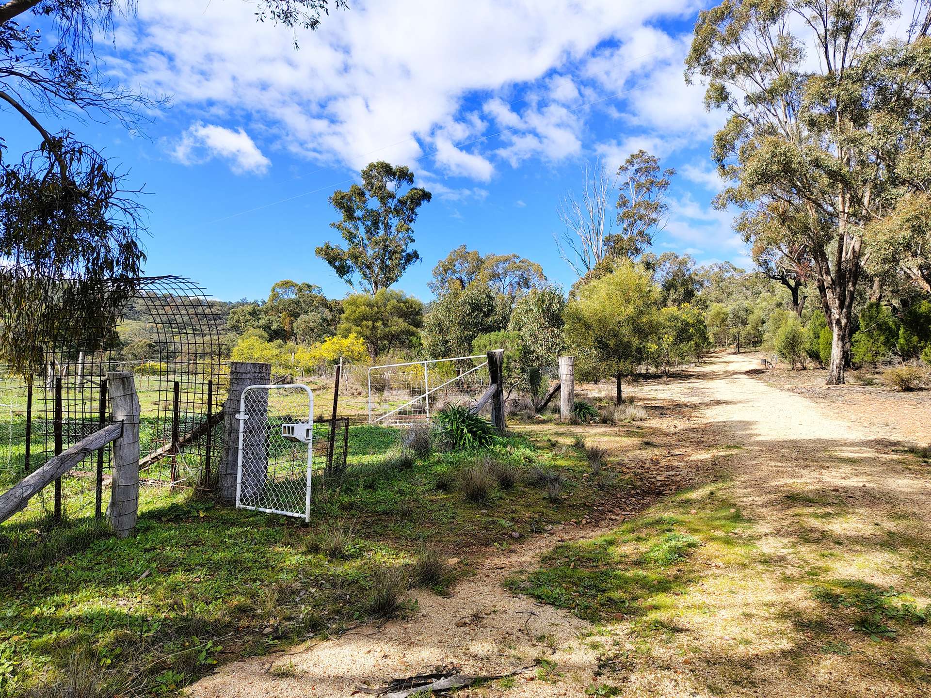 3486 Warraderry Way, Gooloogong For Sale by Farmbuy.com - image 23