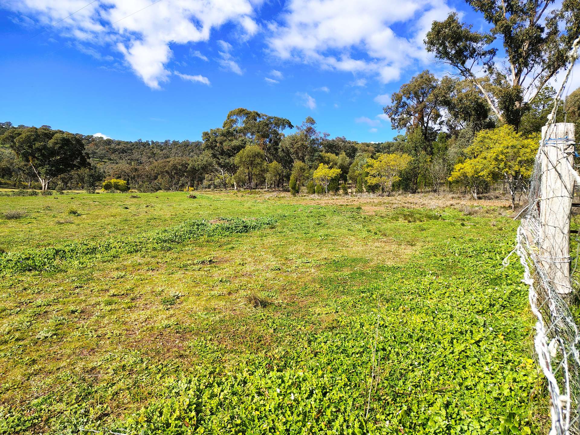 3486 Warraderry Way, Gooloogong For Sale by Farmbuy.com - image 26