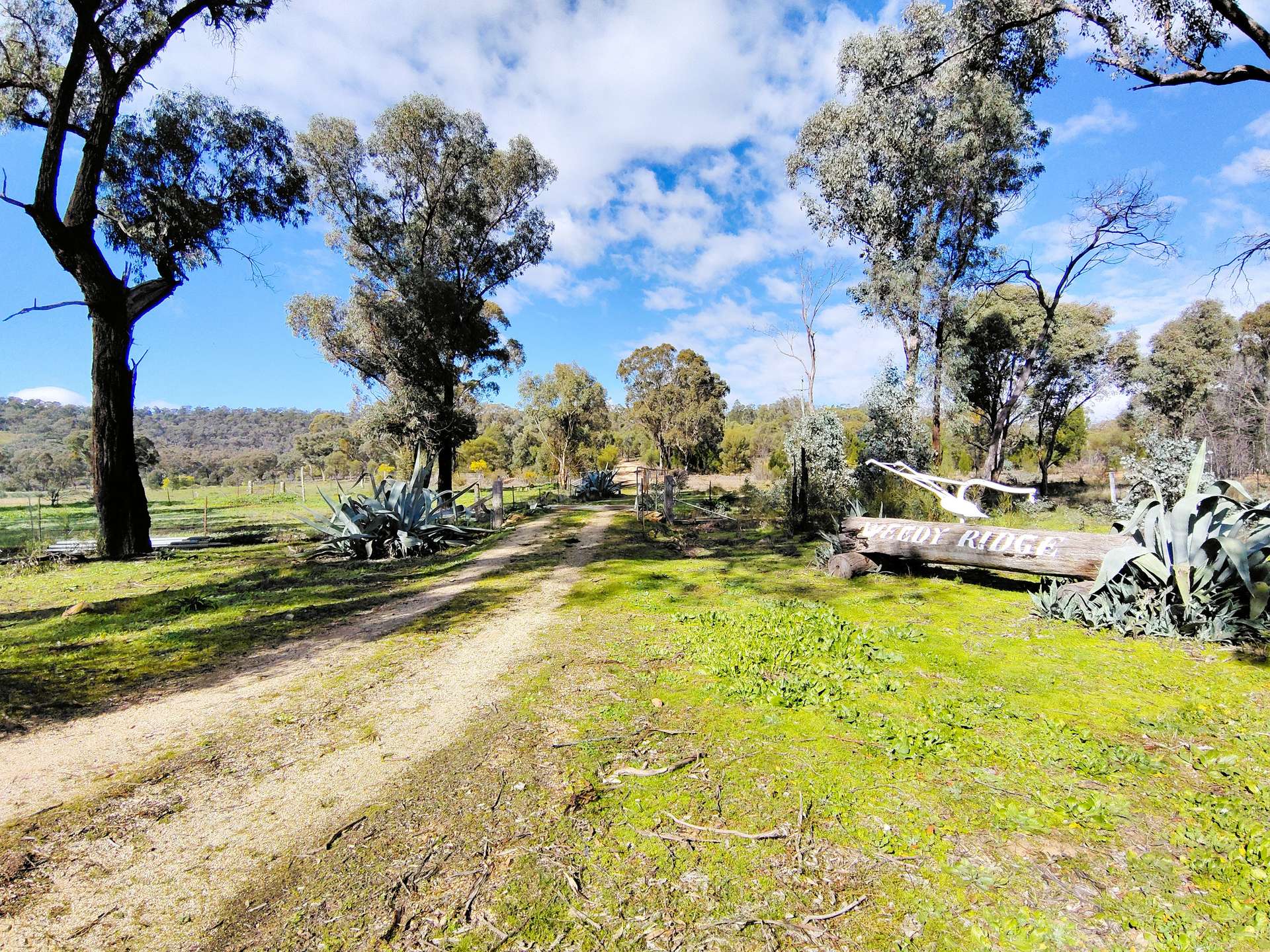 3486 Warraderry Way, Gooloogong For Sale by Farmbuy.com - image 34