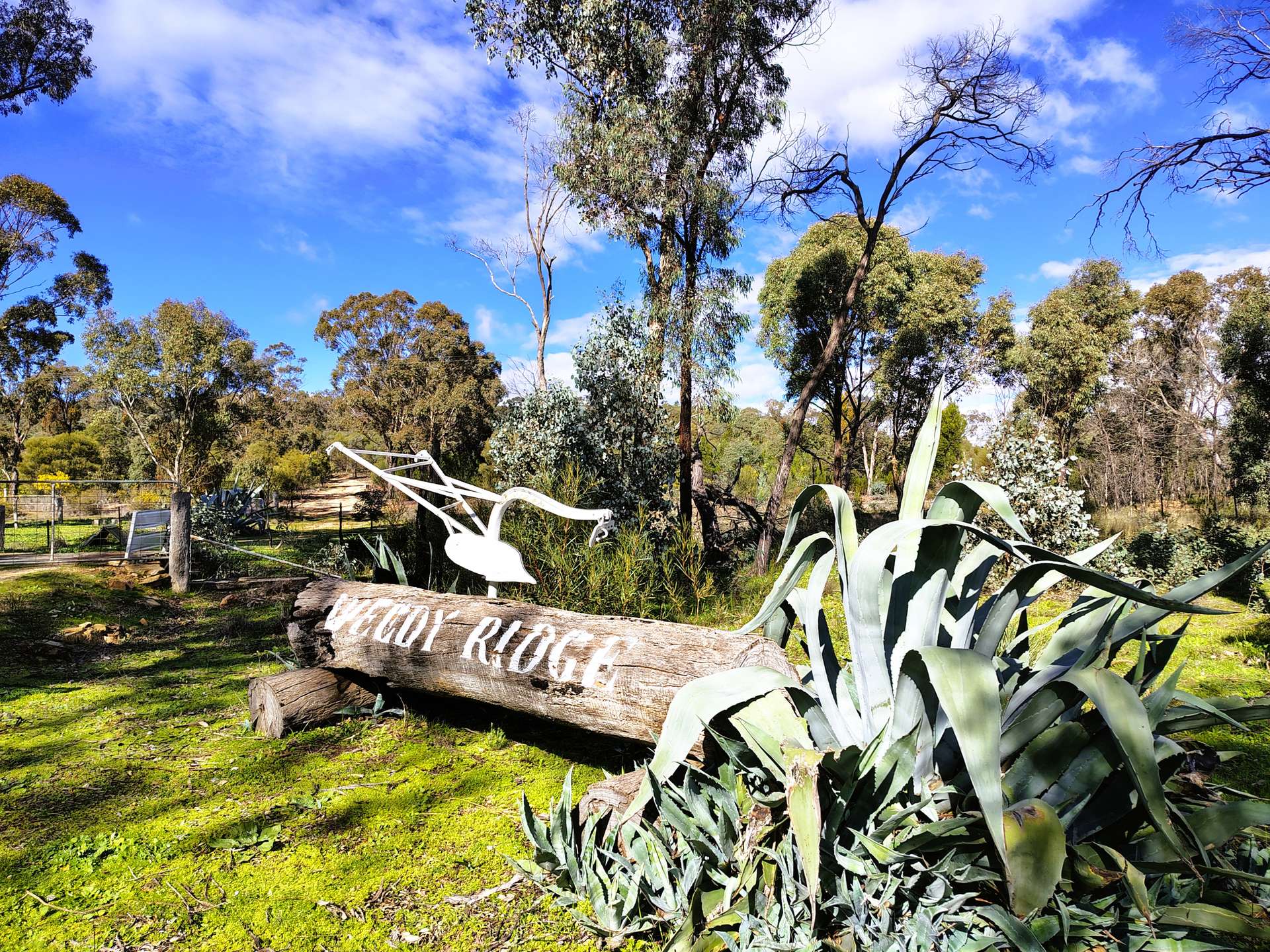 3486 Warraderry Way, Gooloogong For Sale by Farmbuy.com - image 4