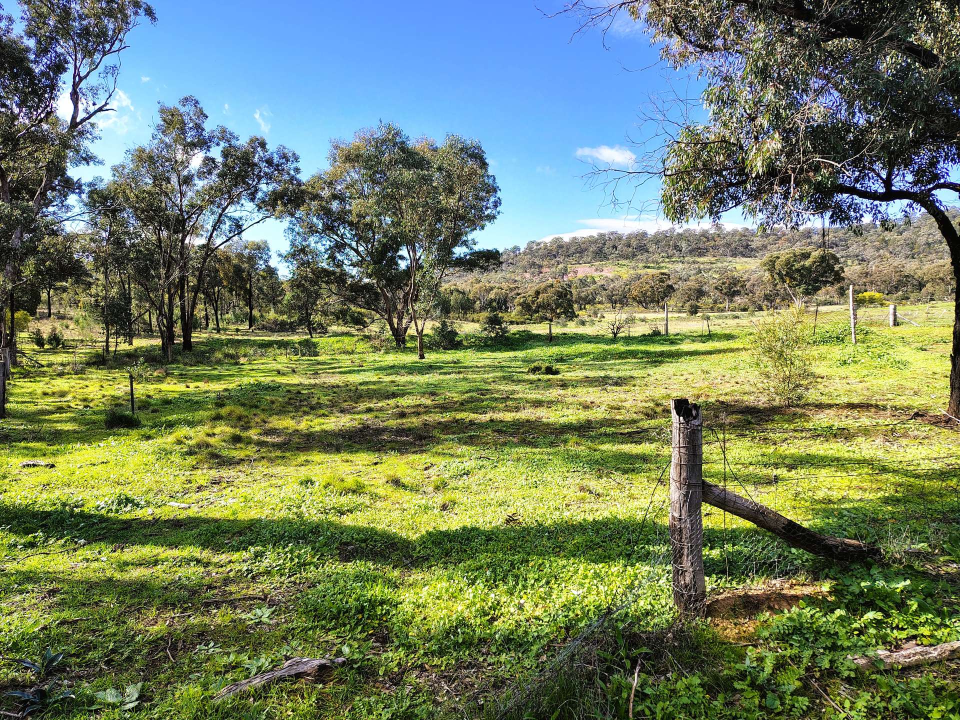 3486 Warraderry Way, Gooloogong For Sale by Farmbuy.com - image 24