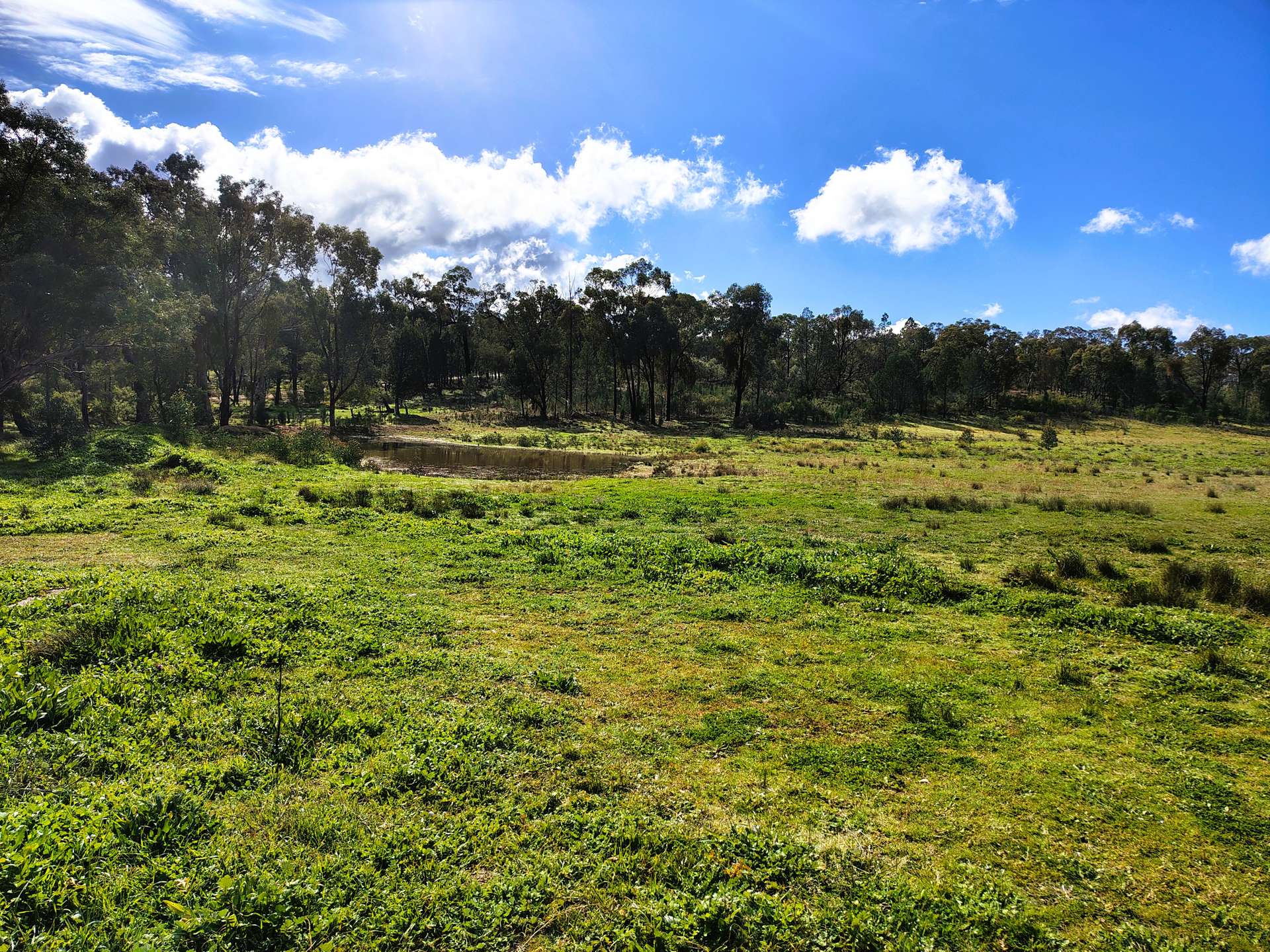 3486 Warraderry Way, Gooloogong For Sale by Farmbuy.com - image 25