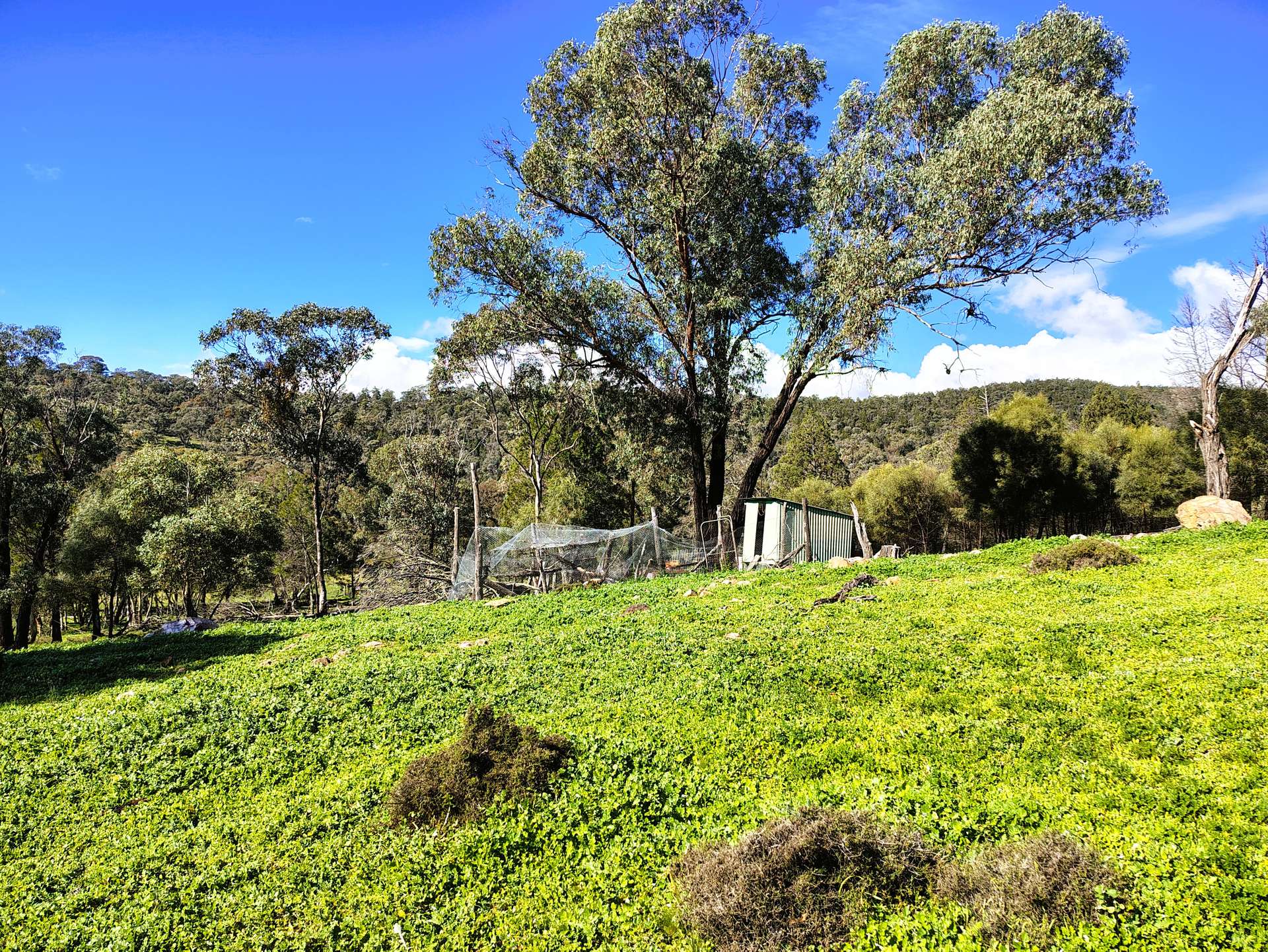 3486 Warraderry Way, Gooloogong For Sale by Farmbuy.com - image 28