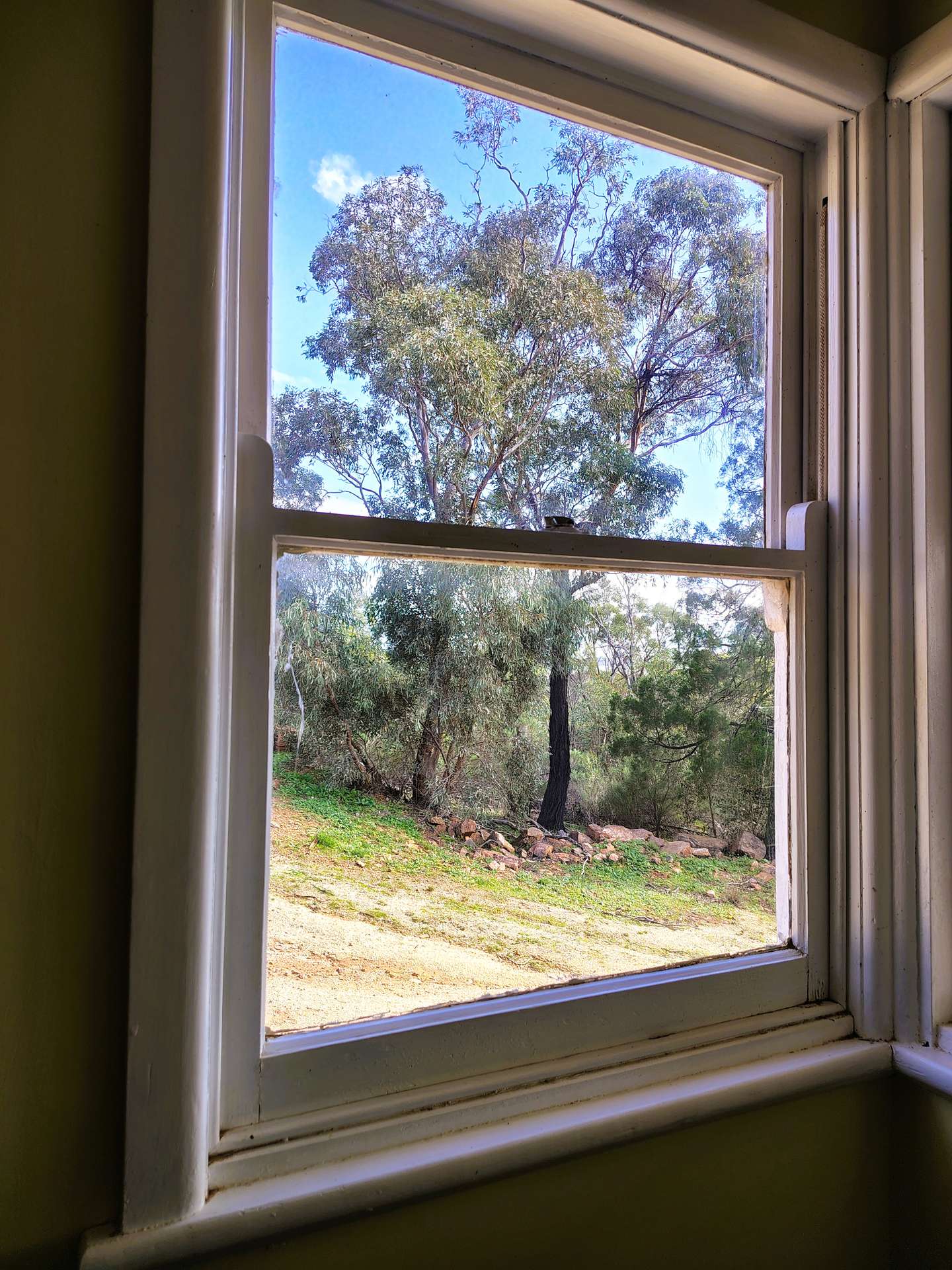 3486 Warraderry Way, Gooloogong For Sale by Farmbuy.com - image 21