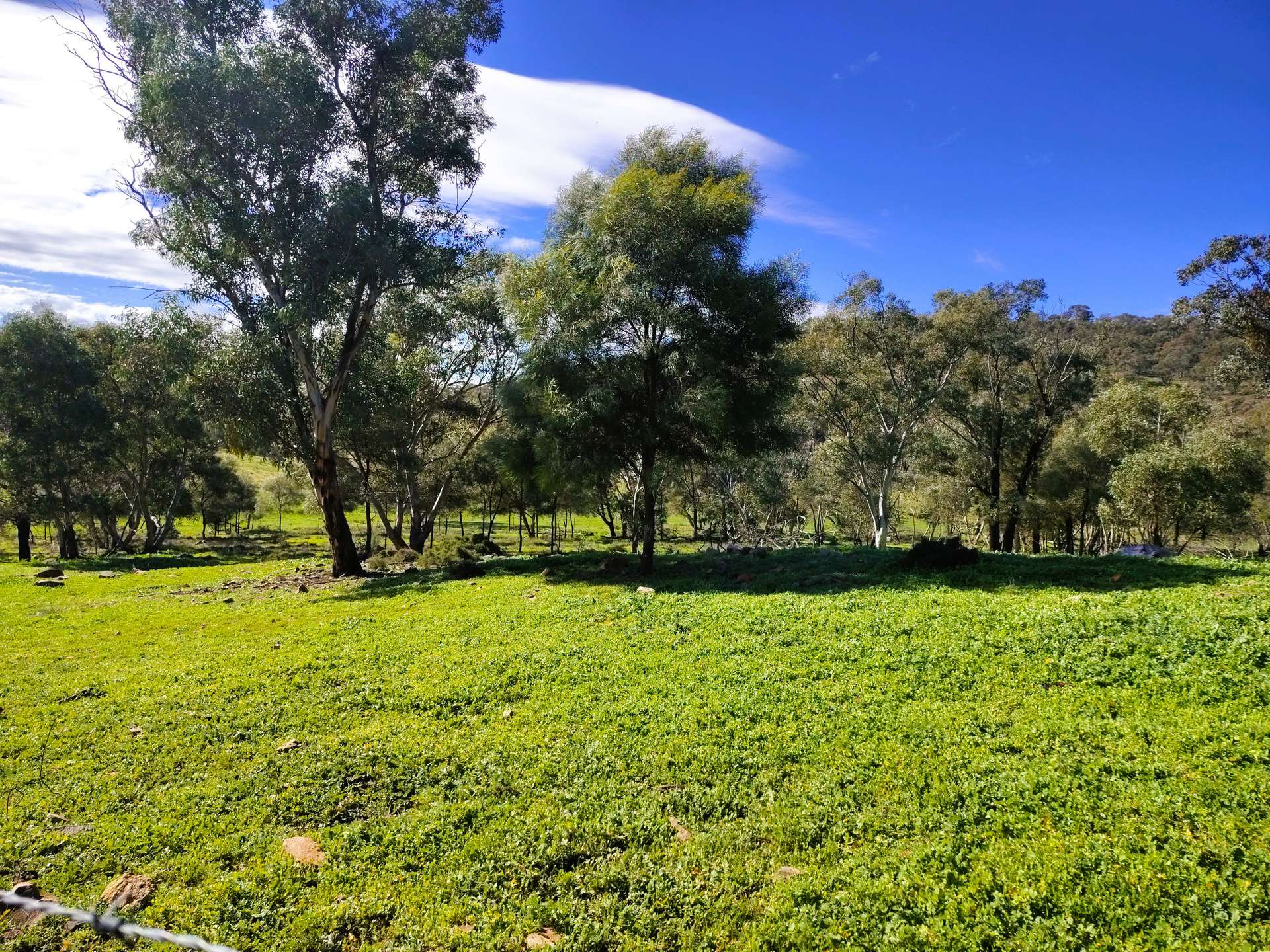 3486 Warraderry Way, Gooloogong For Sale by Farmbuy.com - image 30