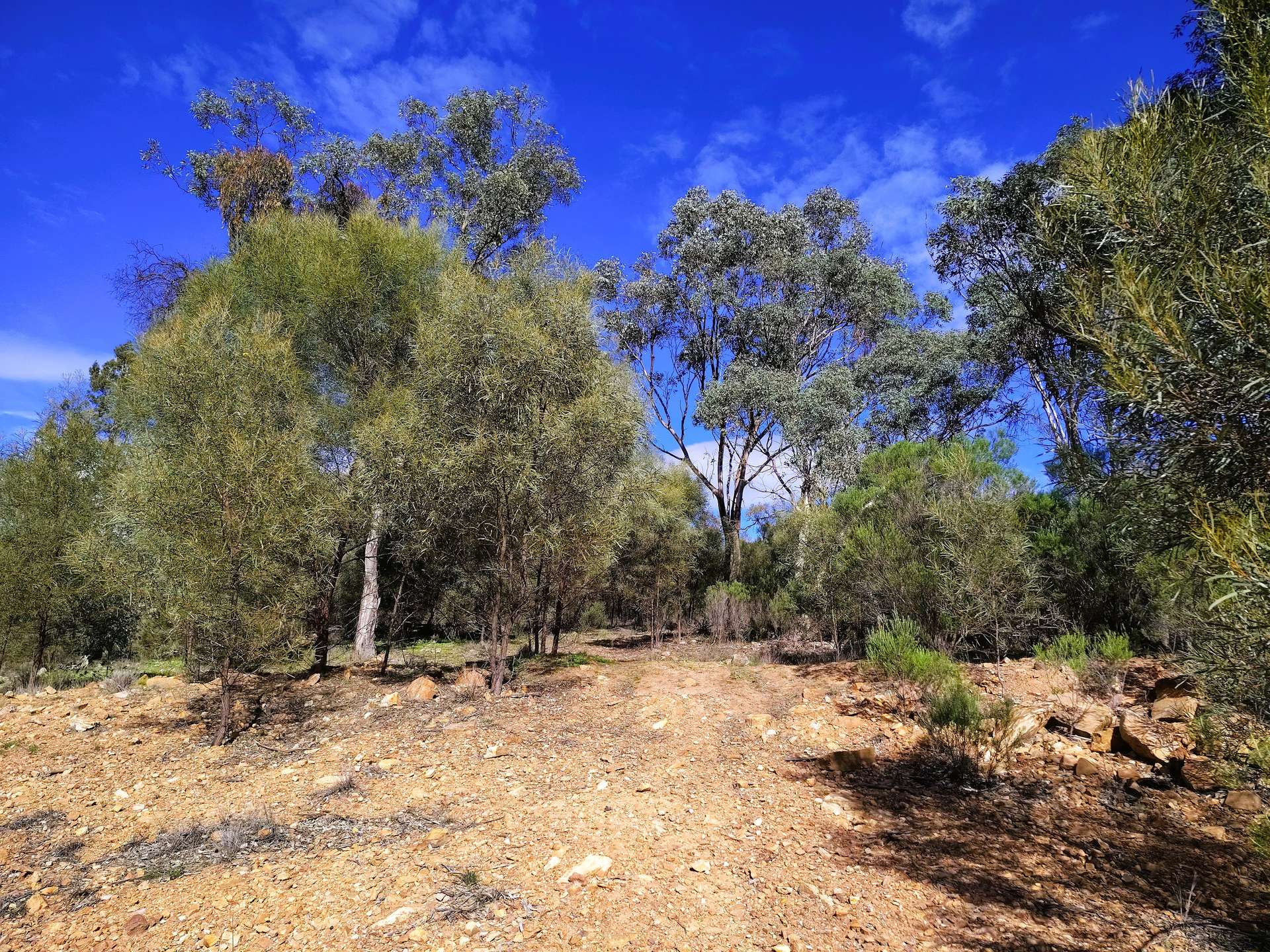 3486 Warraderry Way, Gooloogong For Sale by Farmbuy.com - image 31