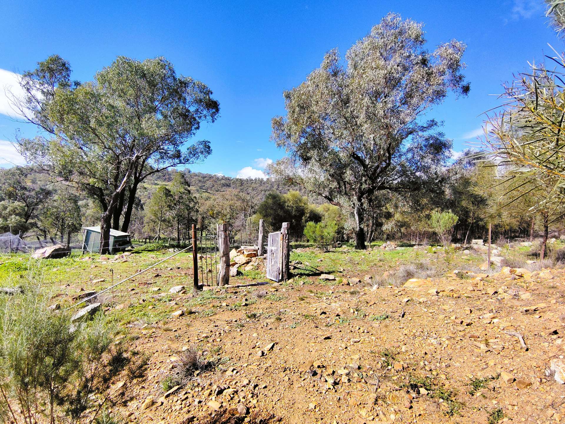 3486 Warraderry Way, Gooloogong For Sale by Farmbuy.com - image 32