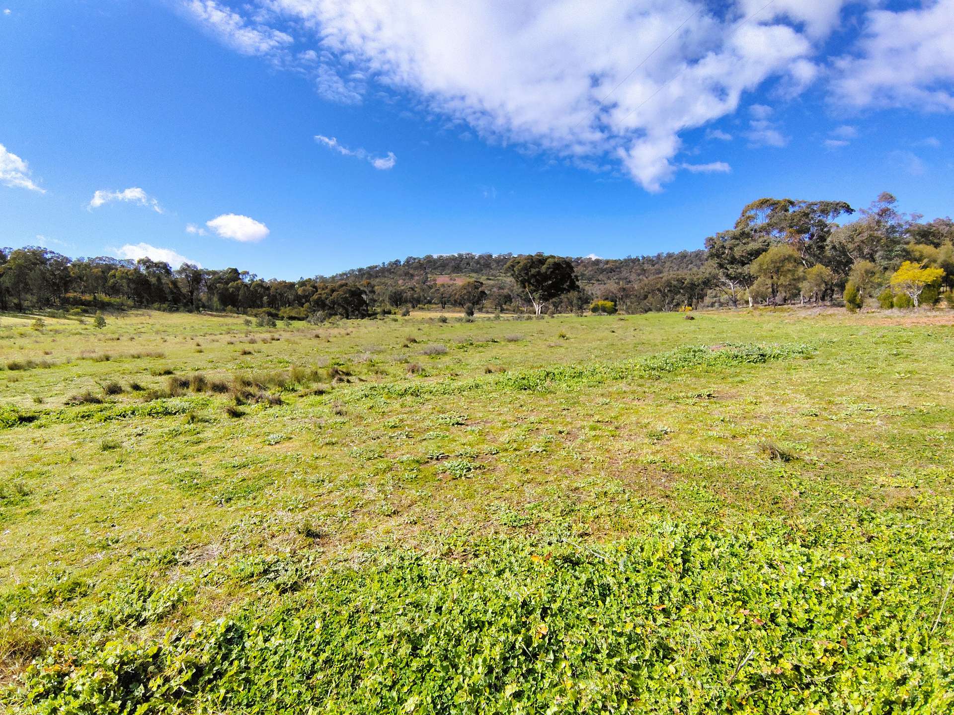 3486 Warraderry Way, Gooloogong For Sale by Farmbuy.com - image 27