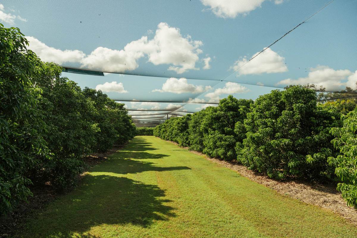 5 Willdora Drive, Elliott For Sale by Farmbuy.com - image 27