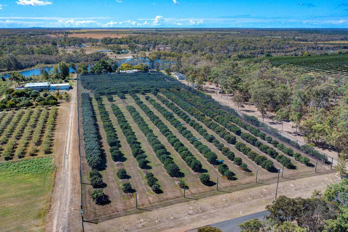5 Willdora Drive, Elliott For Sale by Farmbuy.com - image 33