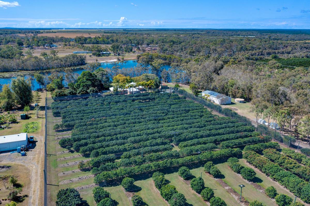 5 Willdora Drive, Elliott For Sale by Farmbuy.com - image 34