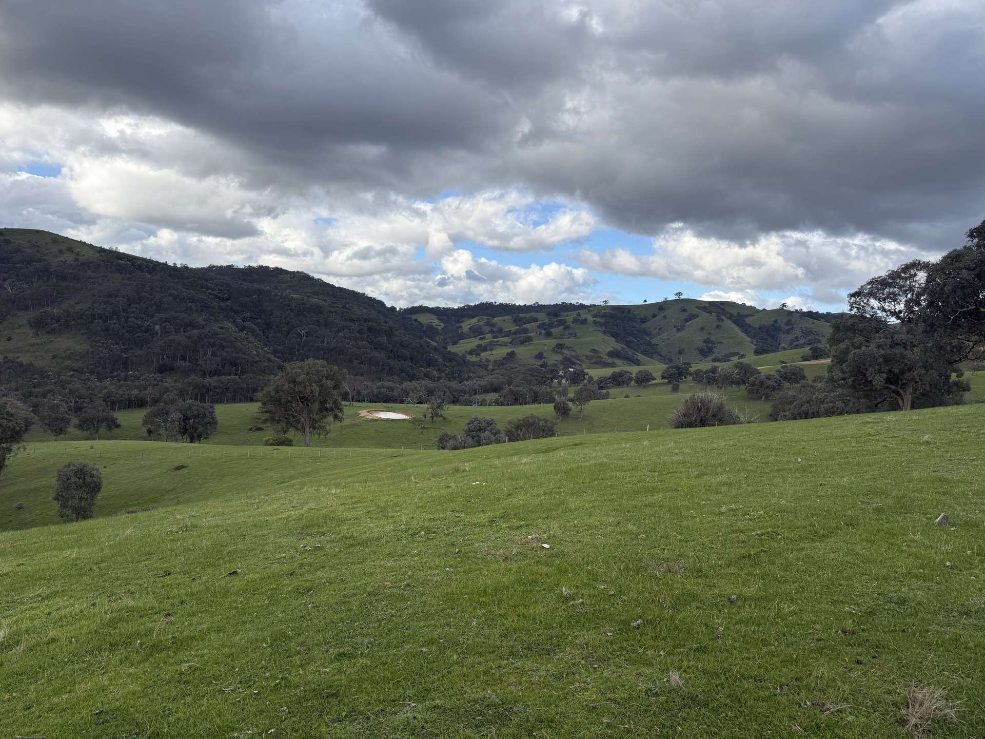736 UT Creek Road, Alexandra For Sale by Farmbuy.com - image 3