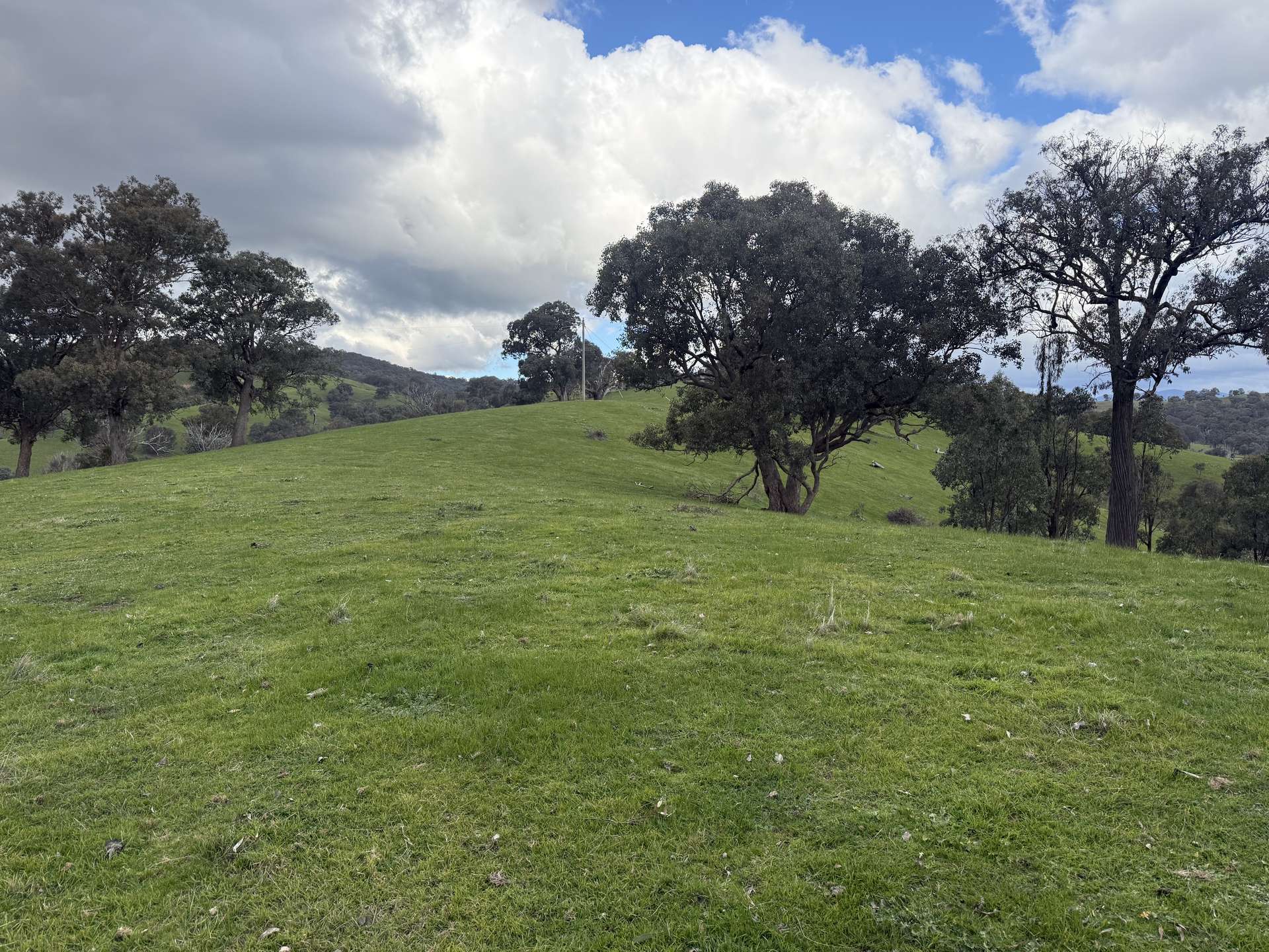736 UT Creek Road, Alexandra For Sale by Farmbuy.com - image 13