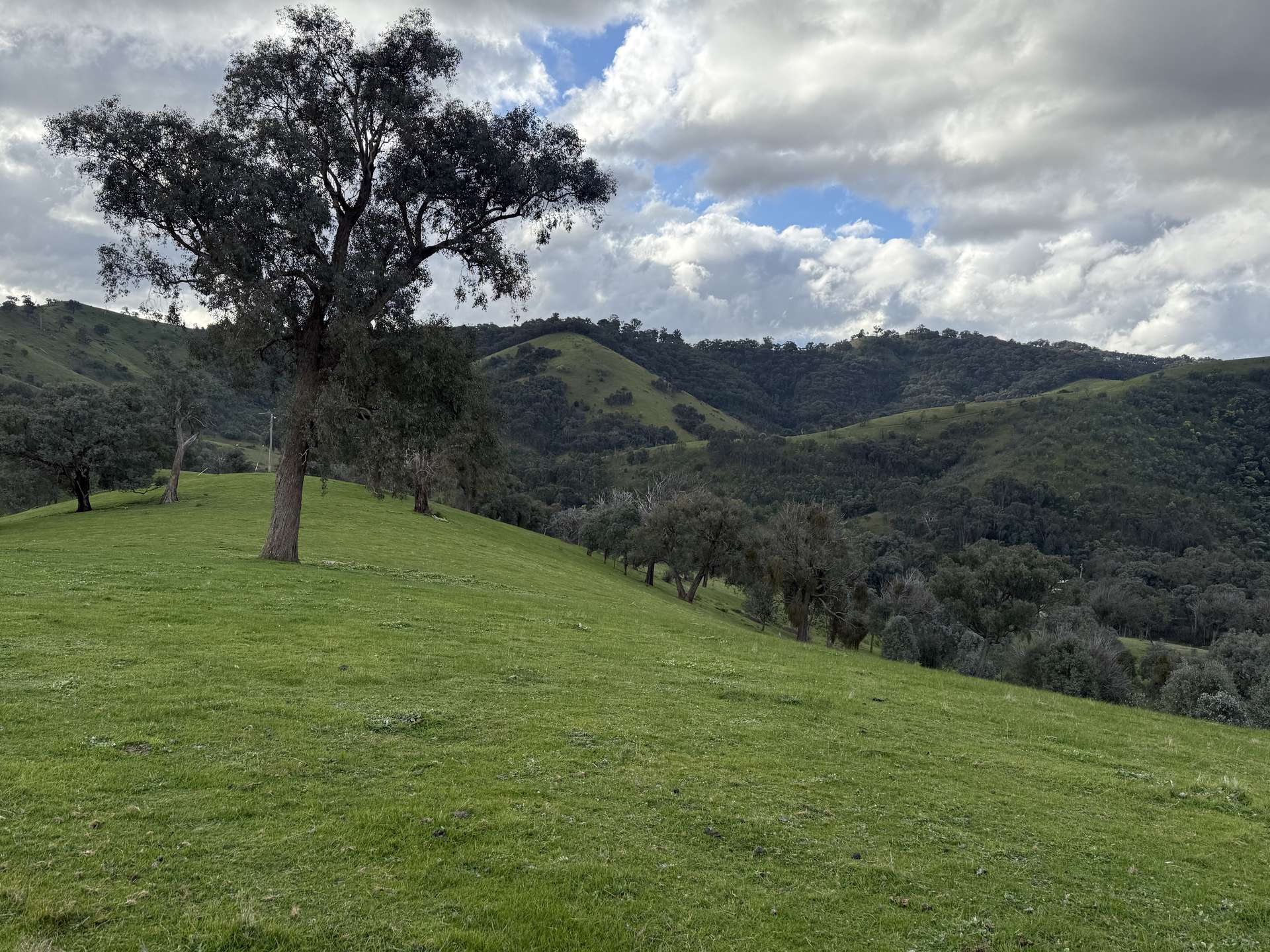 736 UT Creek Road, Alexandra For Sale by Farmbuy.com - image 10