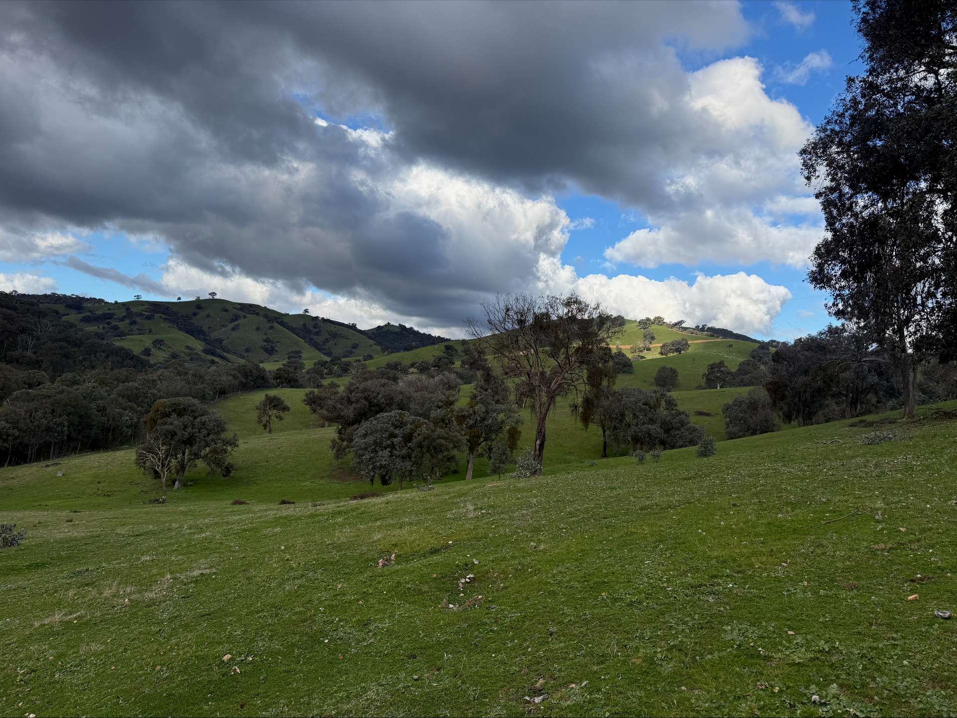 736 UT Creek Road, Alexandra For Sale by Farmbuy.com - image 5
