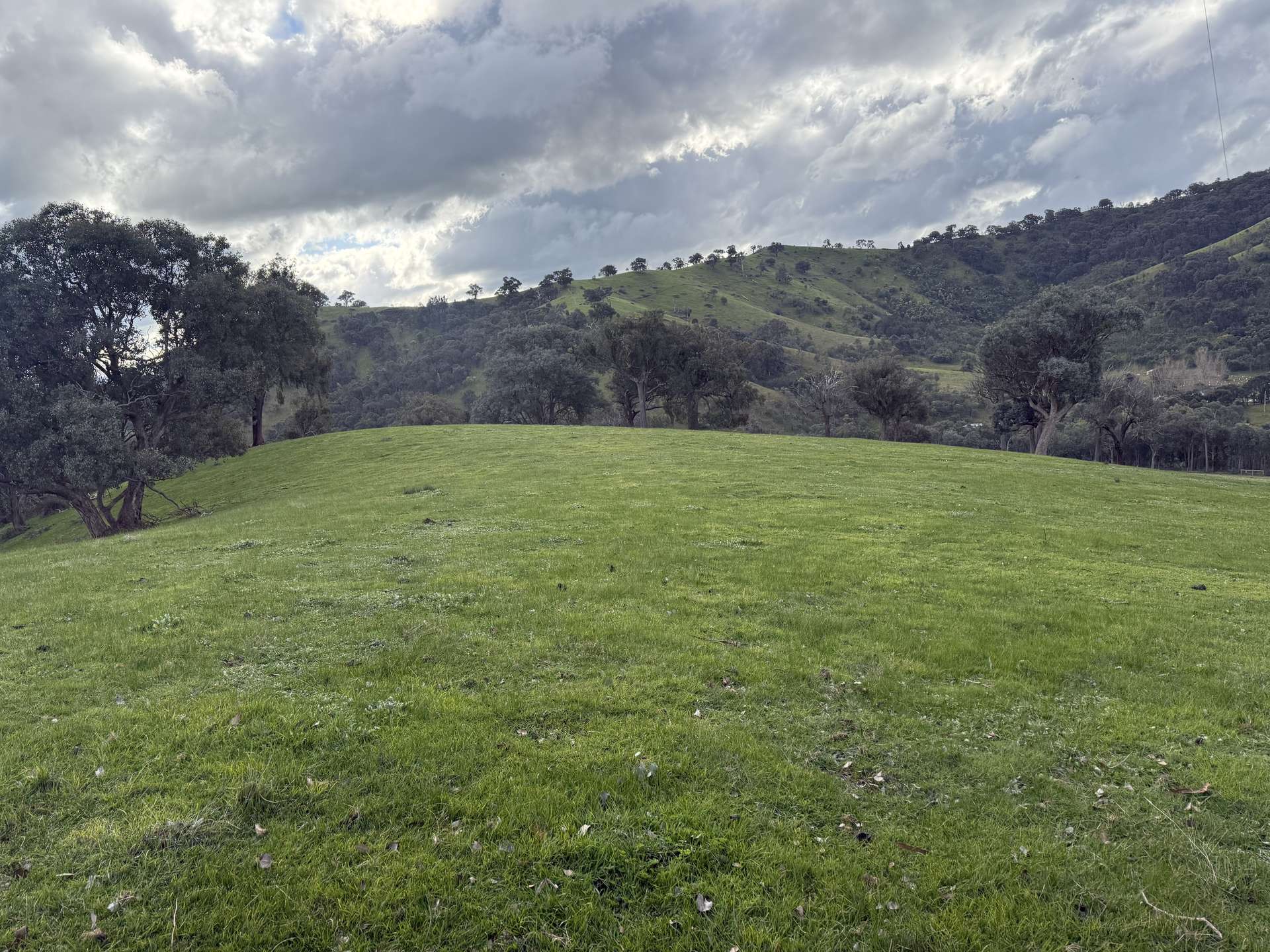 736 UT Creek Road, Alexandra For Sale by Farmbuy.com - image 11