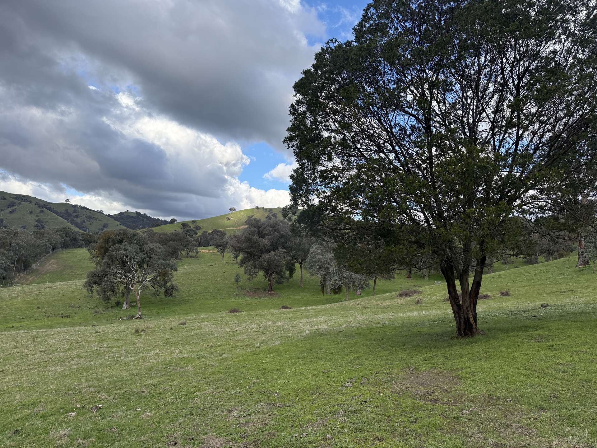 736 UT Creek Road, Alexandra For Sale by Farmbuy.com - image 4