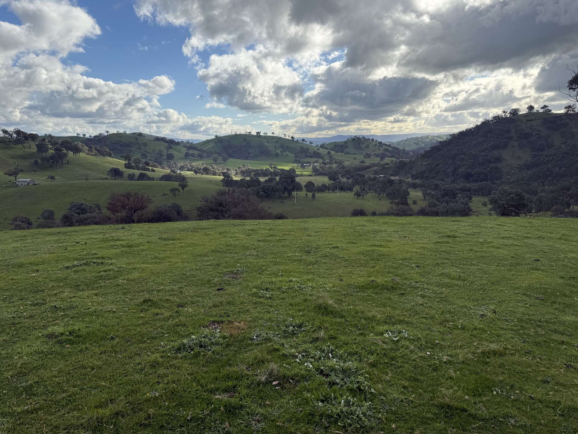 736 UT Creek Road, Alexandra For Sale by Farmbuy.com - image 9