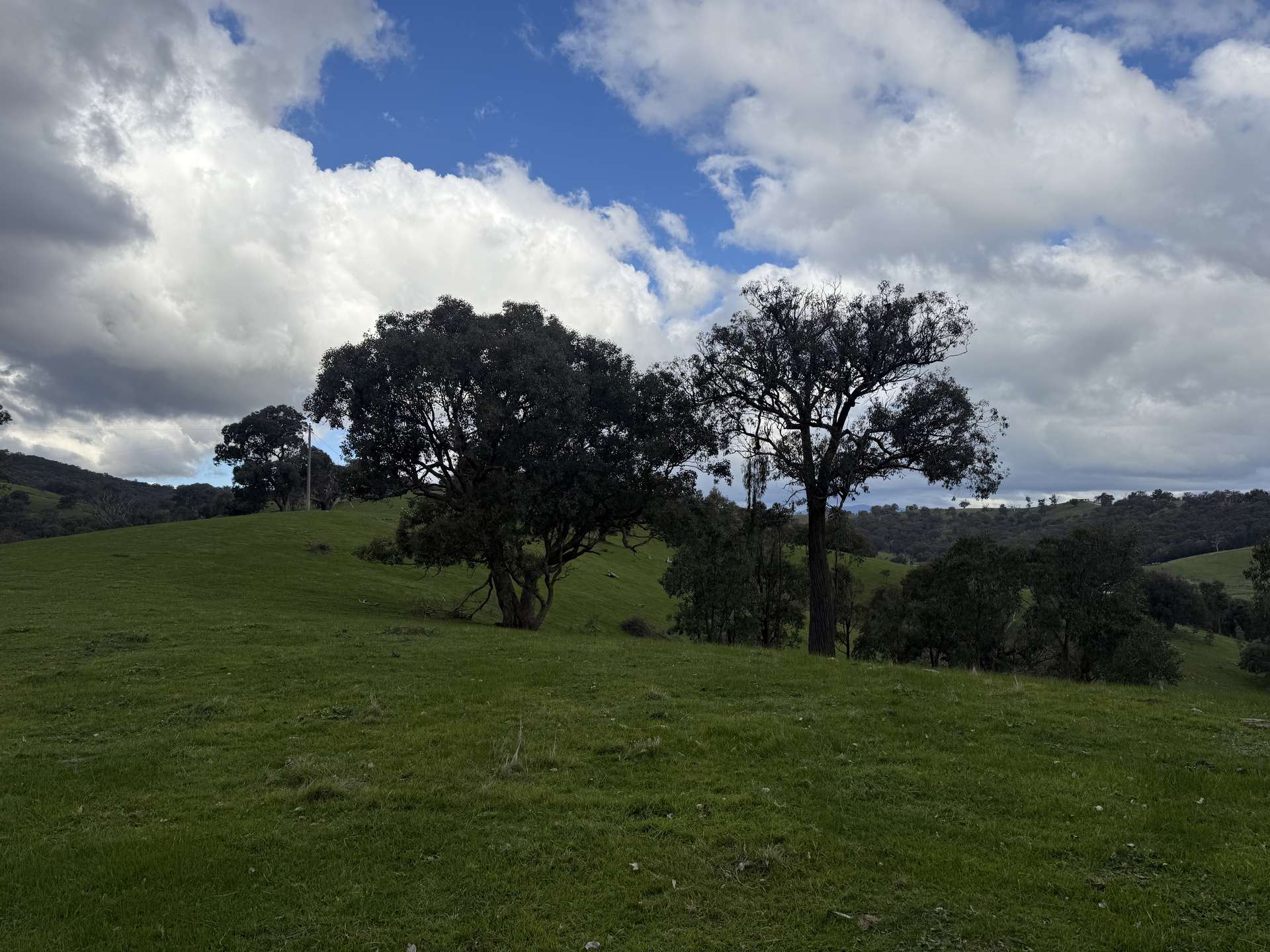 736 UT Creek Road, Alexandra For Sale by Farmbuy.com - image 12