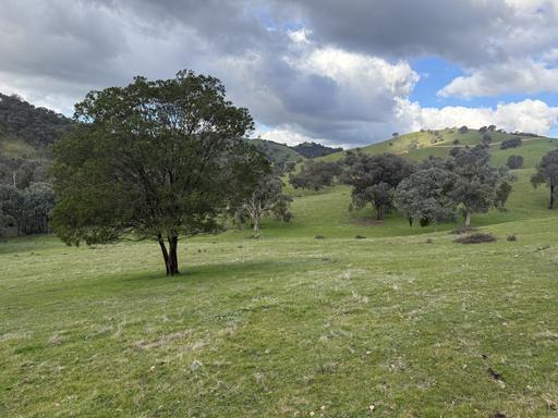Farm For Sale - VIC - Alexandra - 3714 - Rural lifestyle with amazing views! 