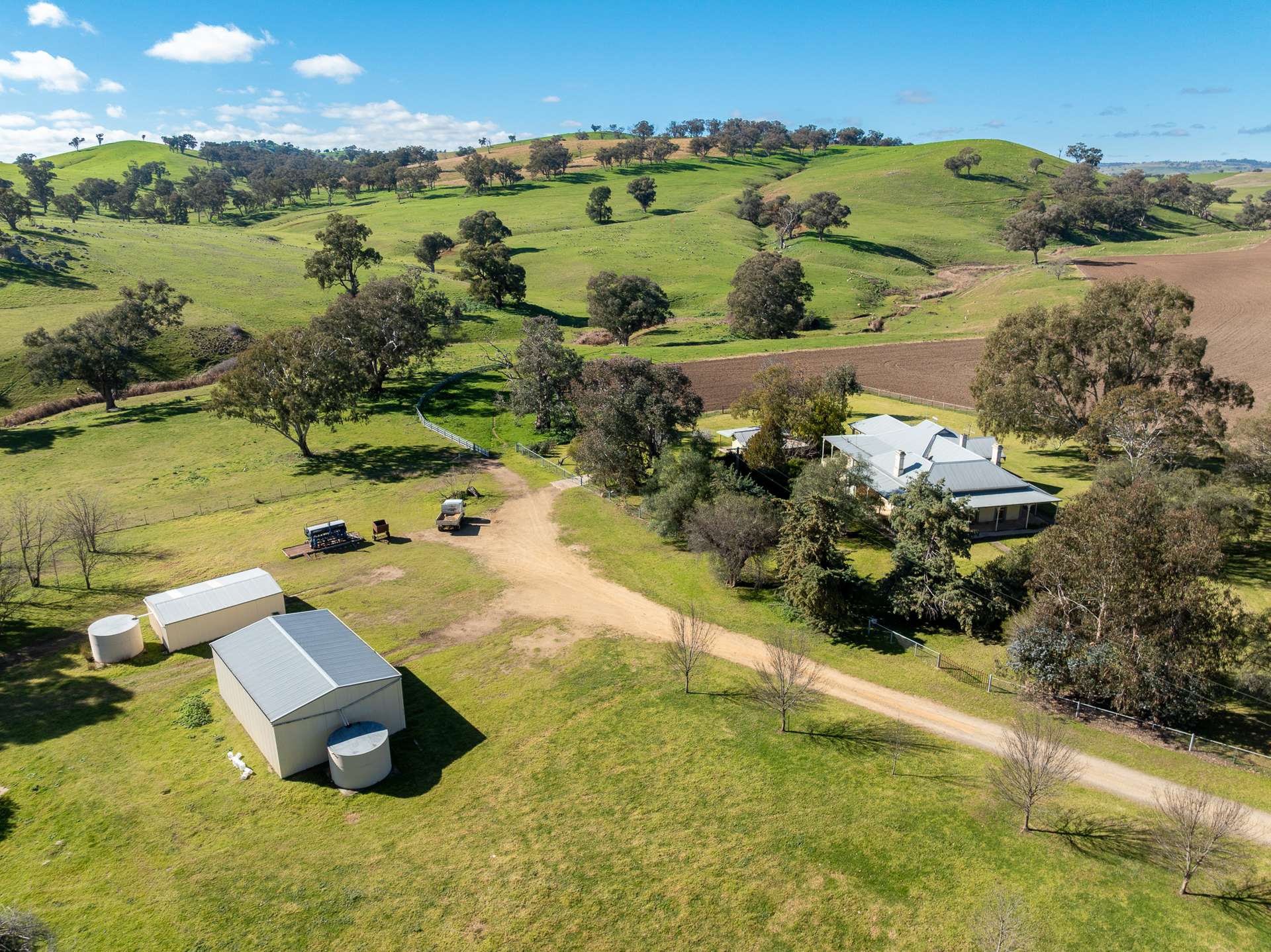 1629 Darbys Falls Road, Cowra For Sale by Farmbuy.com - image 21