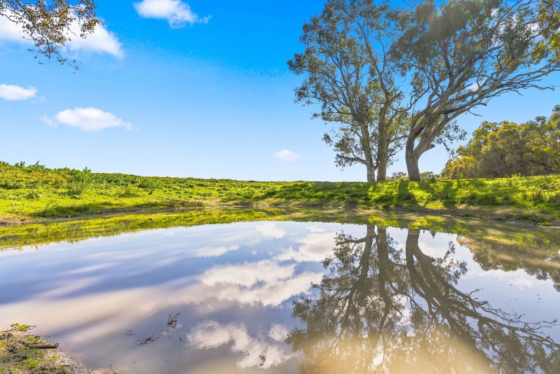 1629 Darbys Falls Road, Cowra For Sale by Farmbuy.com - image 17