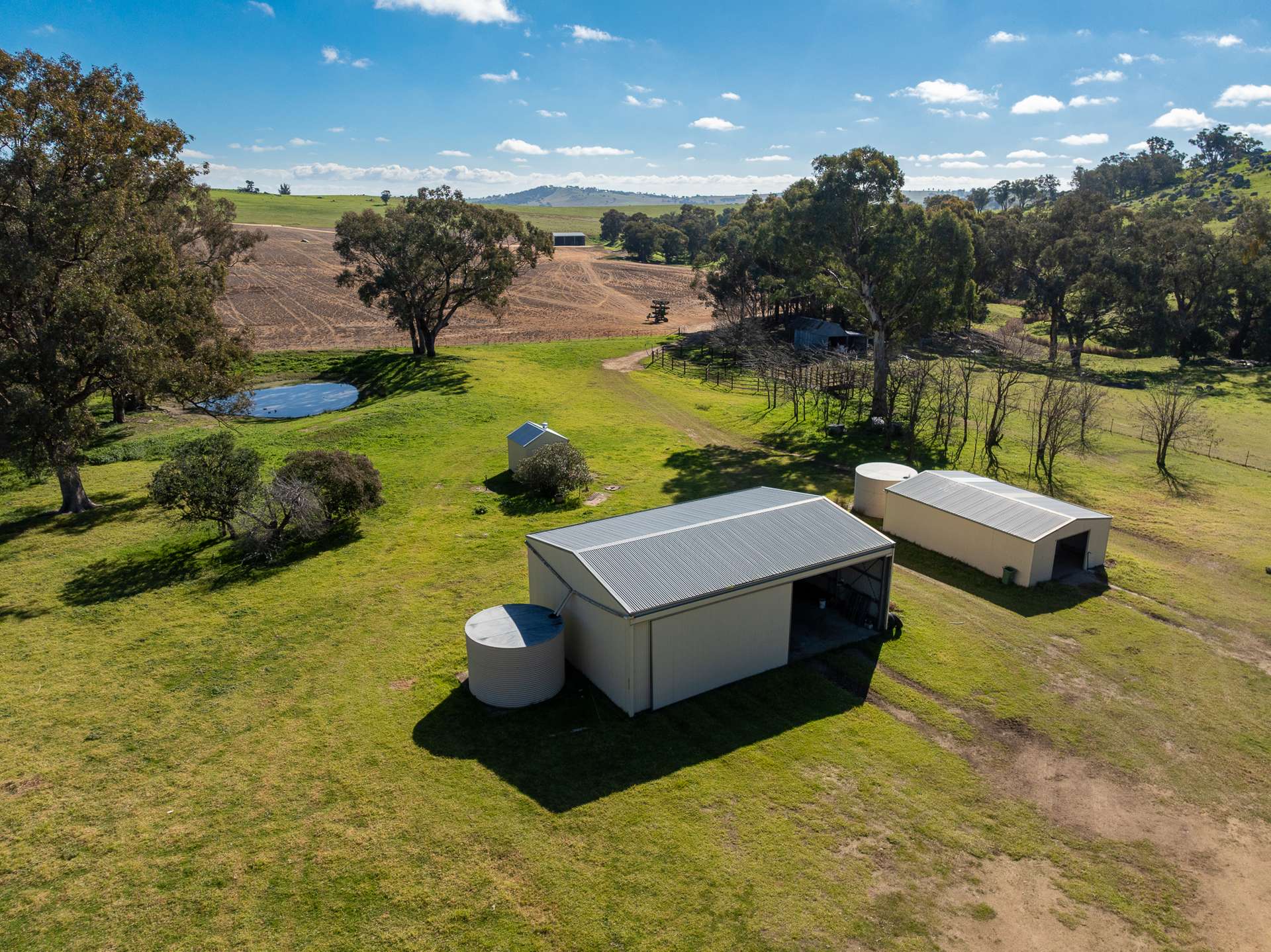 1629 Darbys Falls Road, Cowra For Sale by Farmbuy.com - image 22