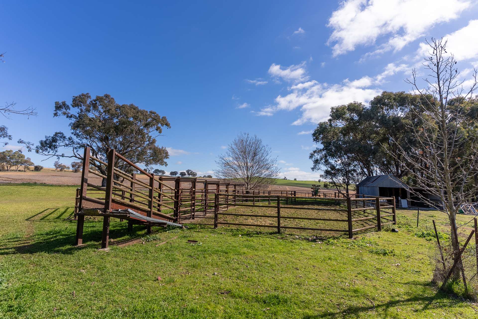 1629 Darbys Falls Road, Cowra For Sale by Farmbuy.com - image 18