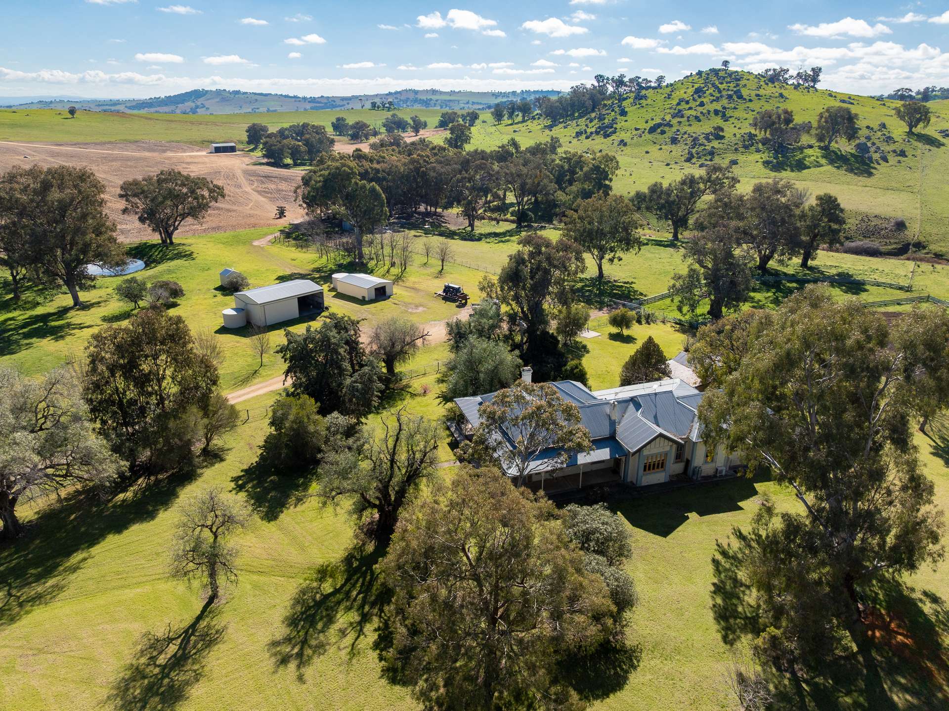 1629 Darbys Falls Road, Cowra For Sale by Farmbuy.com - image 20